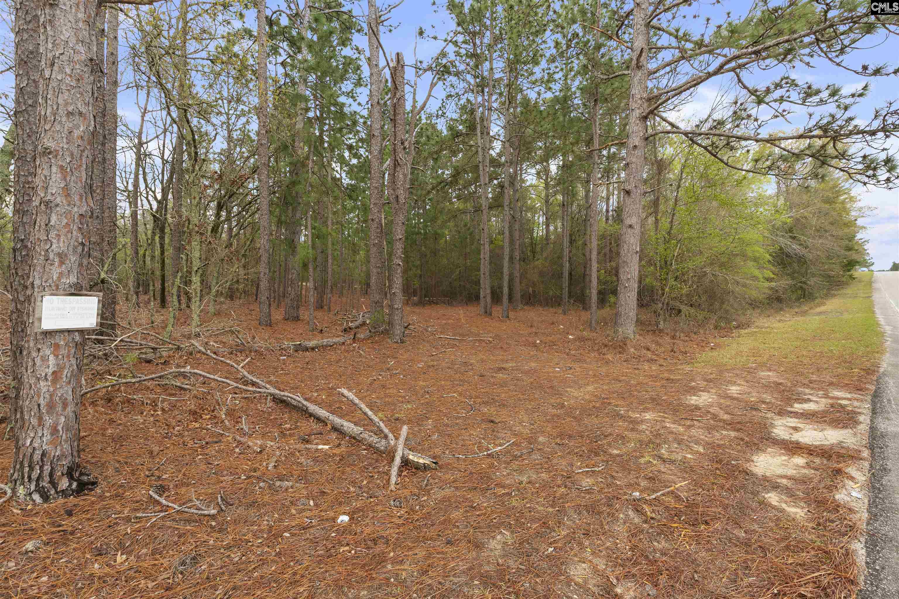 1409 Robinson Town Road, Cassatt, South Carolina image 8