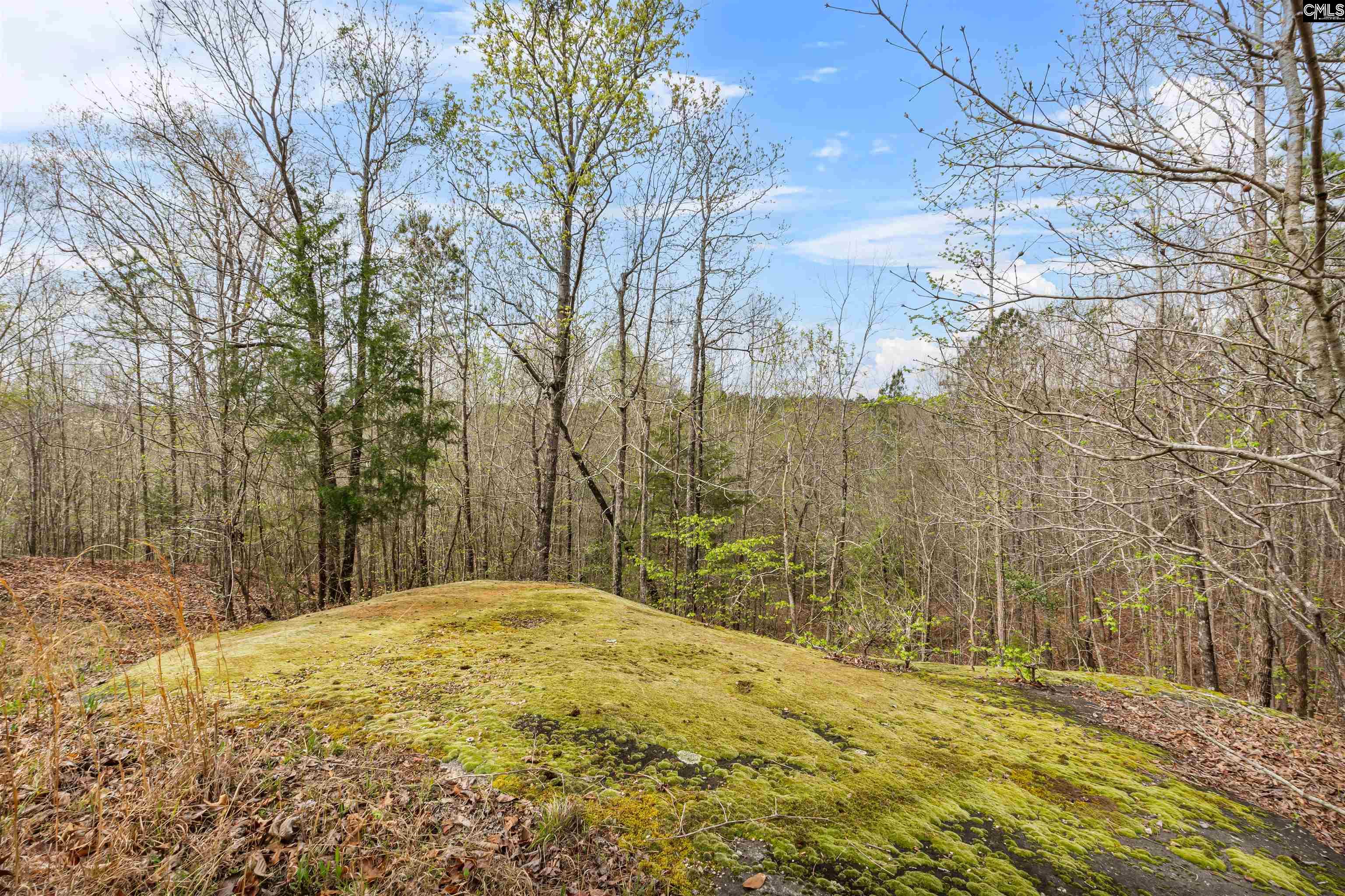 3033 Ebenezer Church Road UNIT B & C Camden, SC 29020
