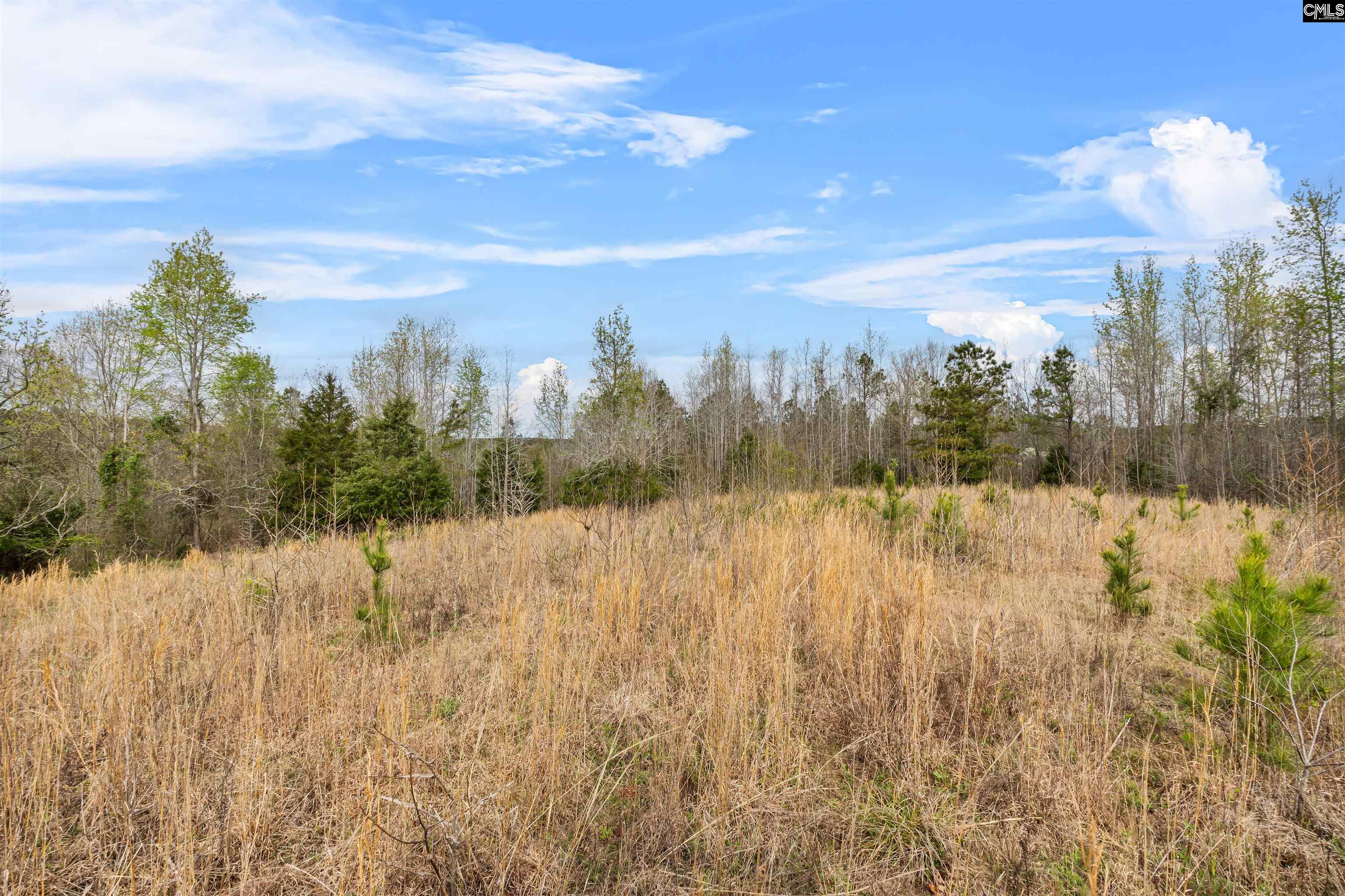 3033 Ebenezer Church Road UNIT B & C Camden, SC 29020