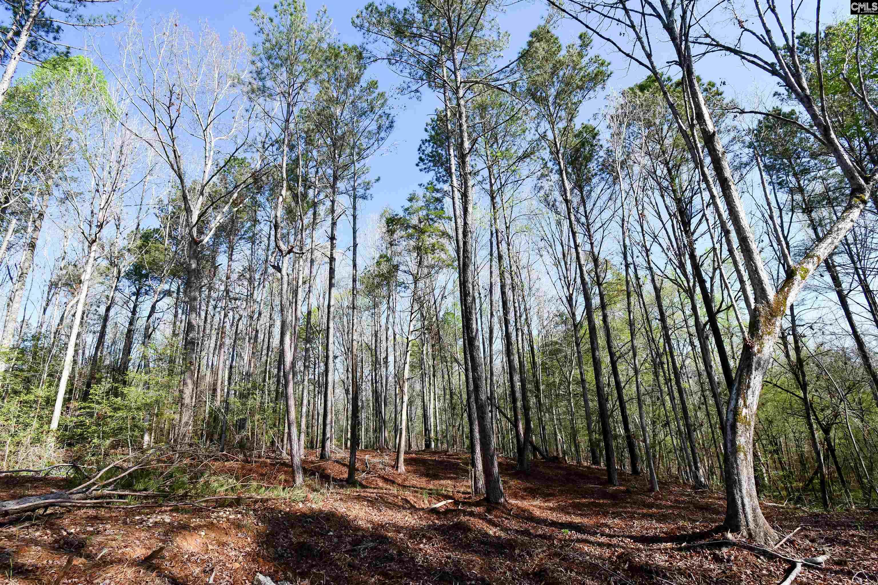 Evergreen Pass, Little Mountain, South Carolina image 12