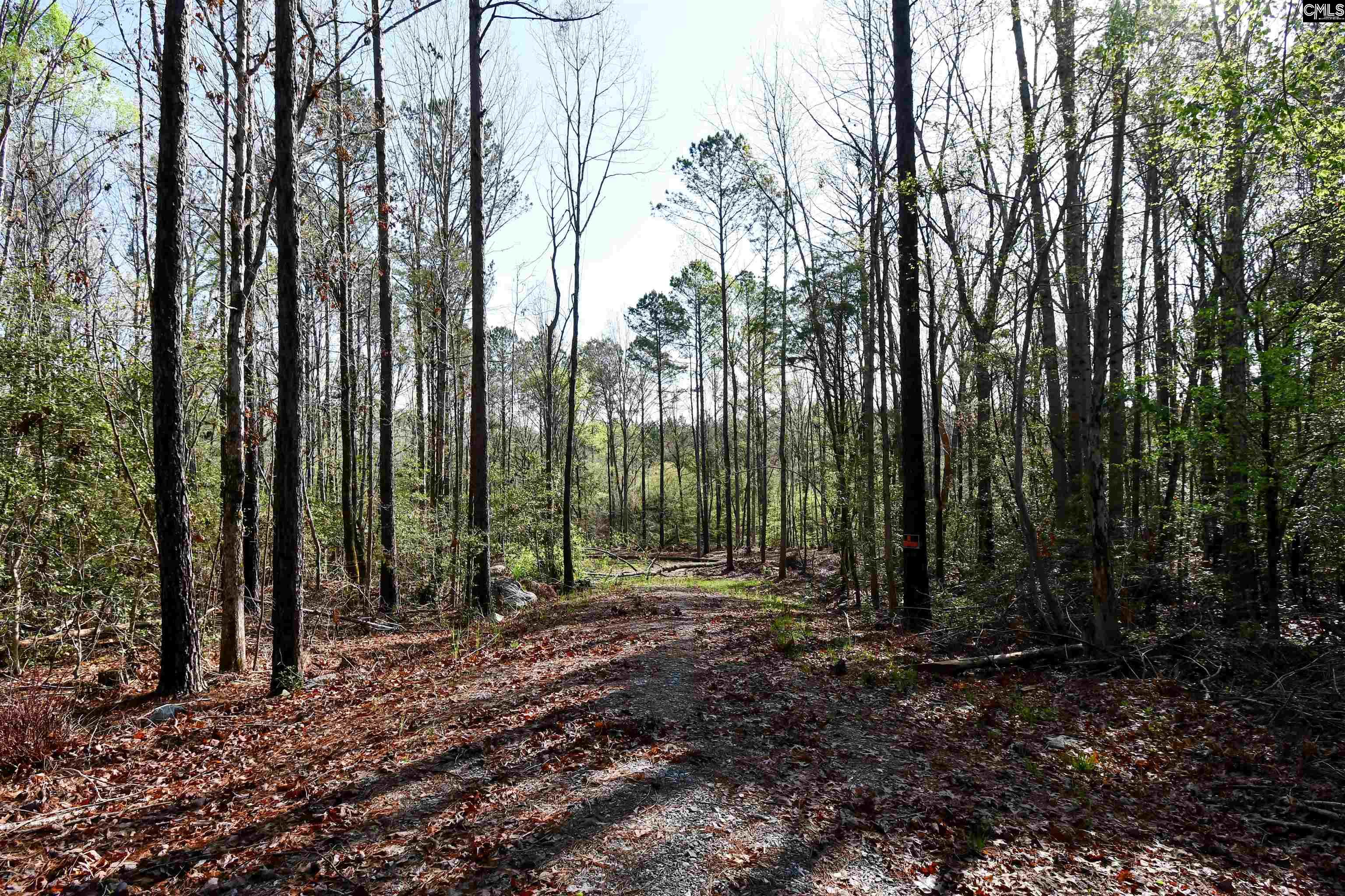 Evergreen Pass, Little Mountain, South Carolina image 3