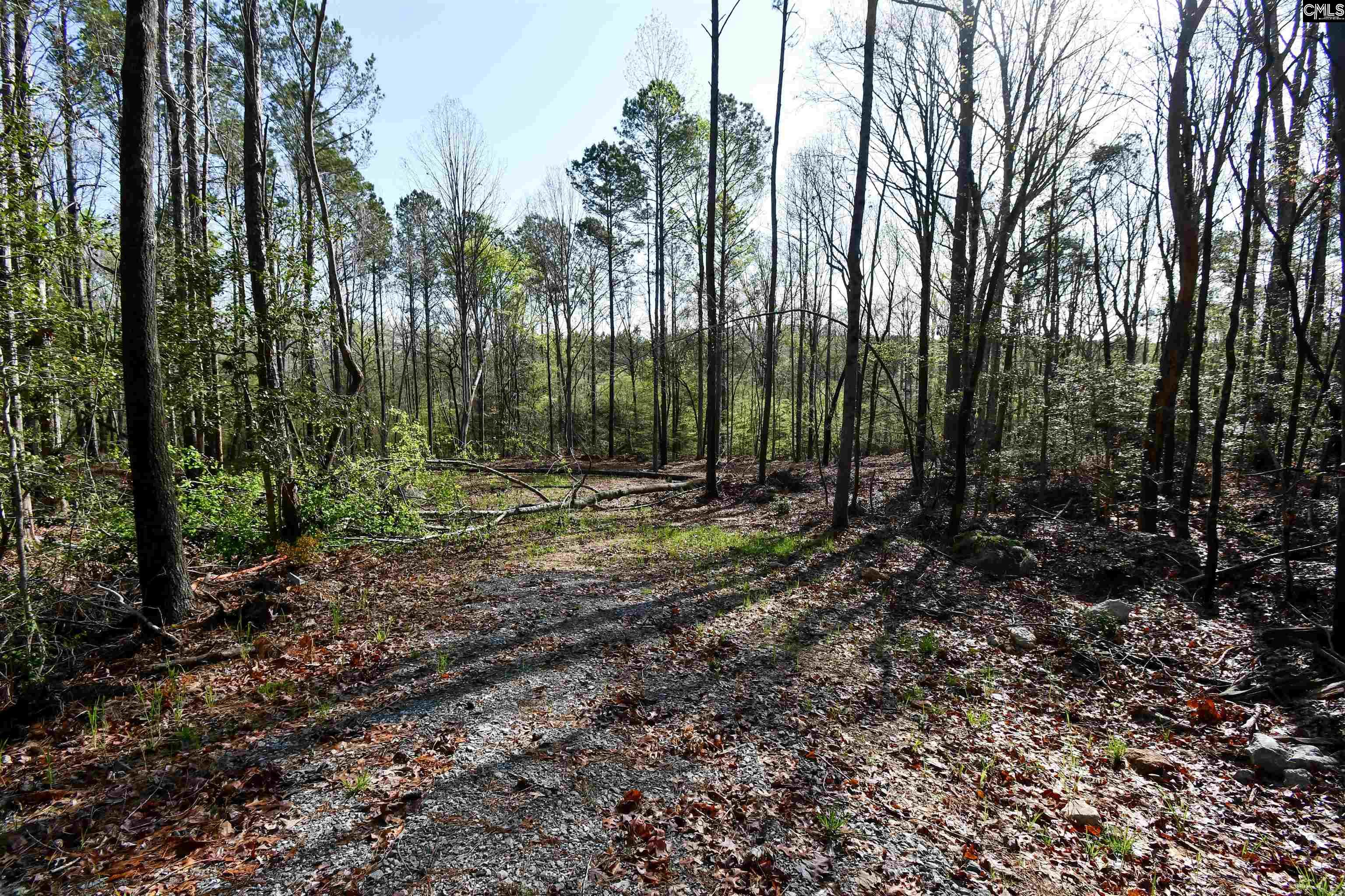 Evergreen Pass, Little Mountain, South Carolina image 5