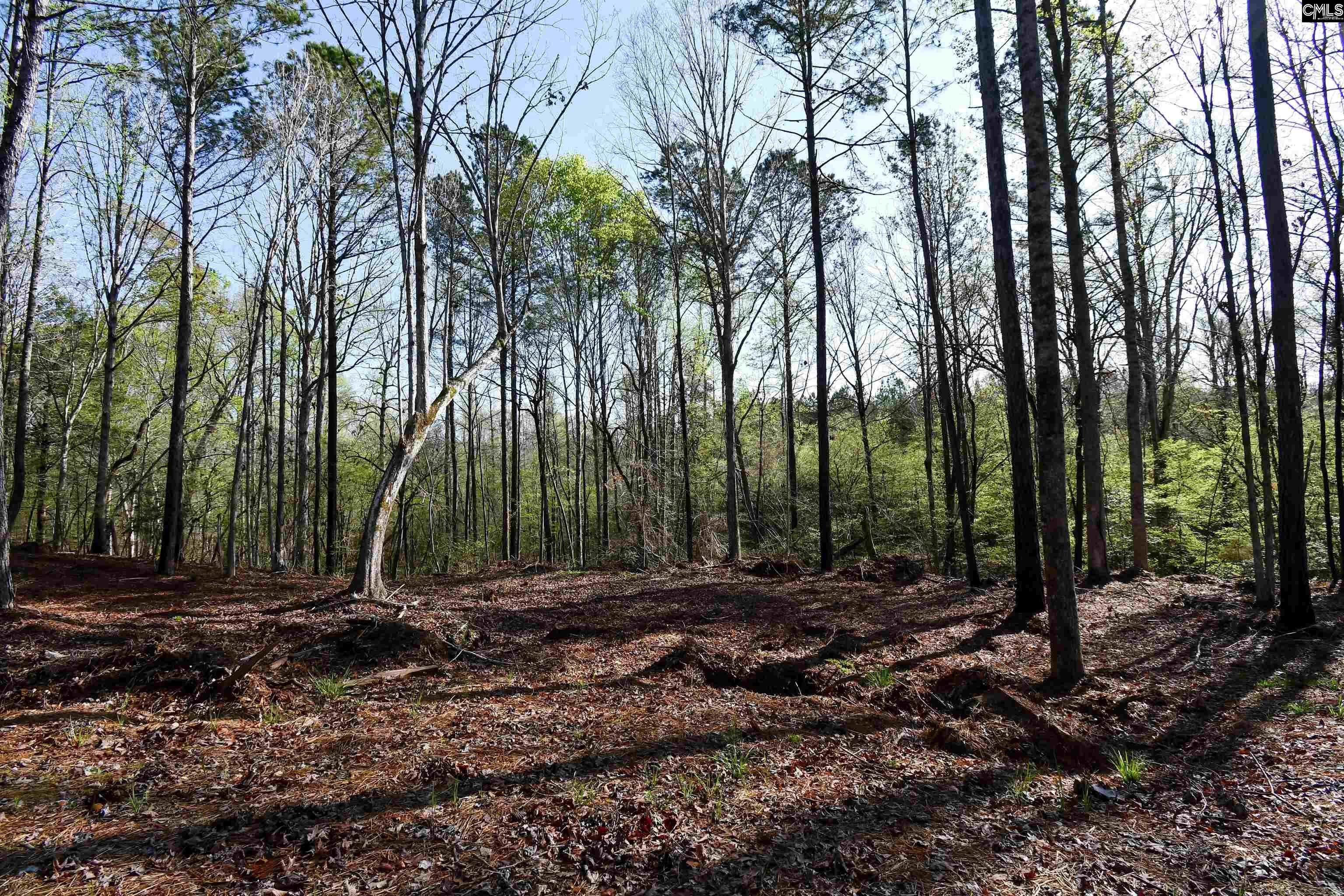 Evergreen Pass, Little Mountain, South Carolina image 8