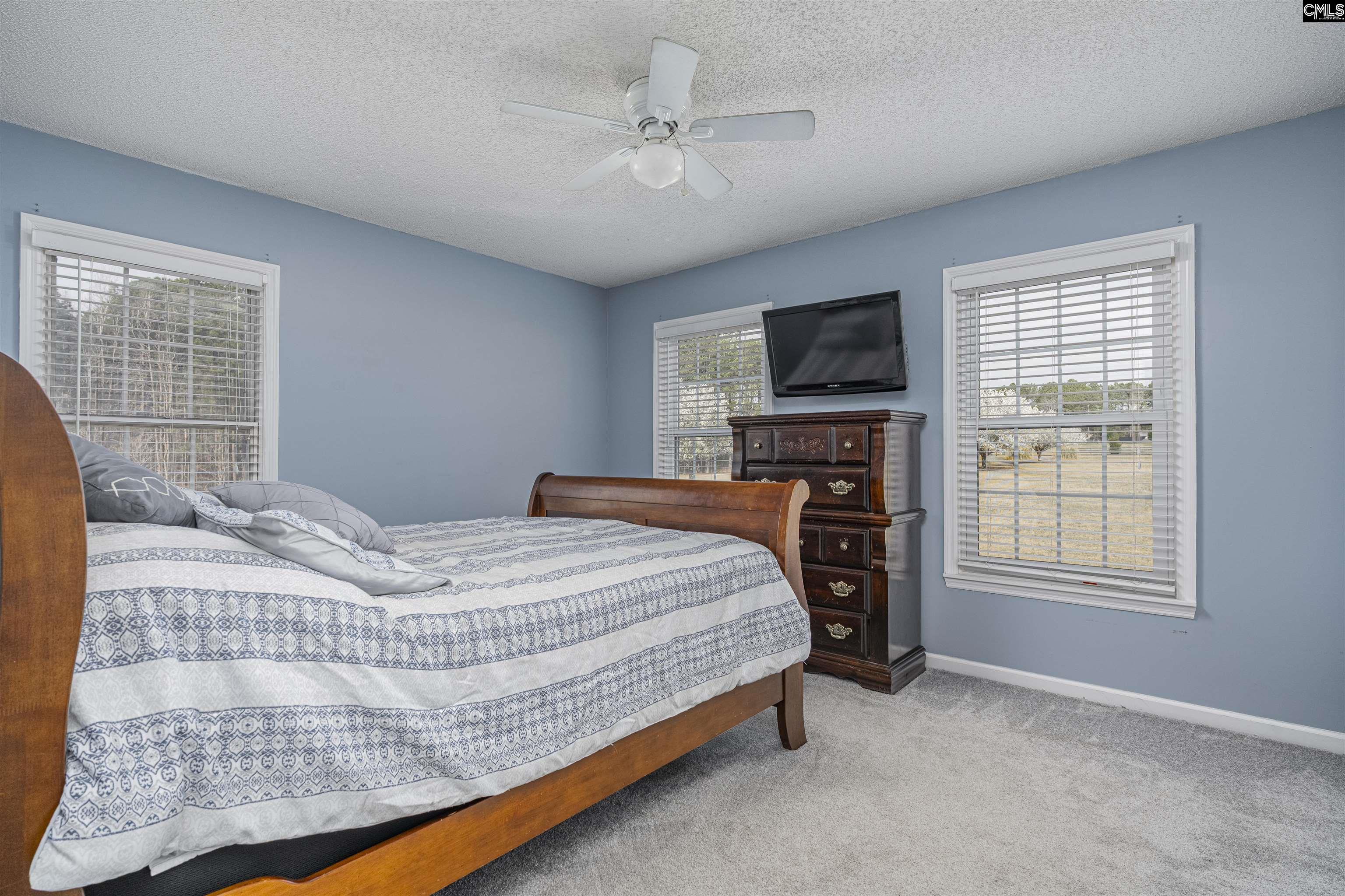 14 Carol Ct, Ridgeway, South Carolina image 29