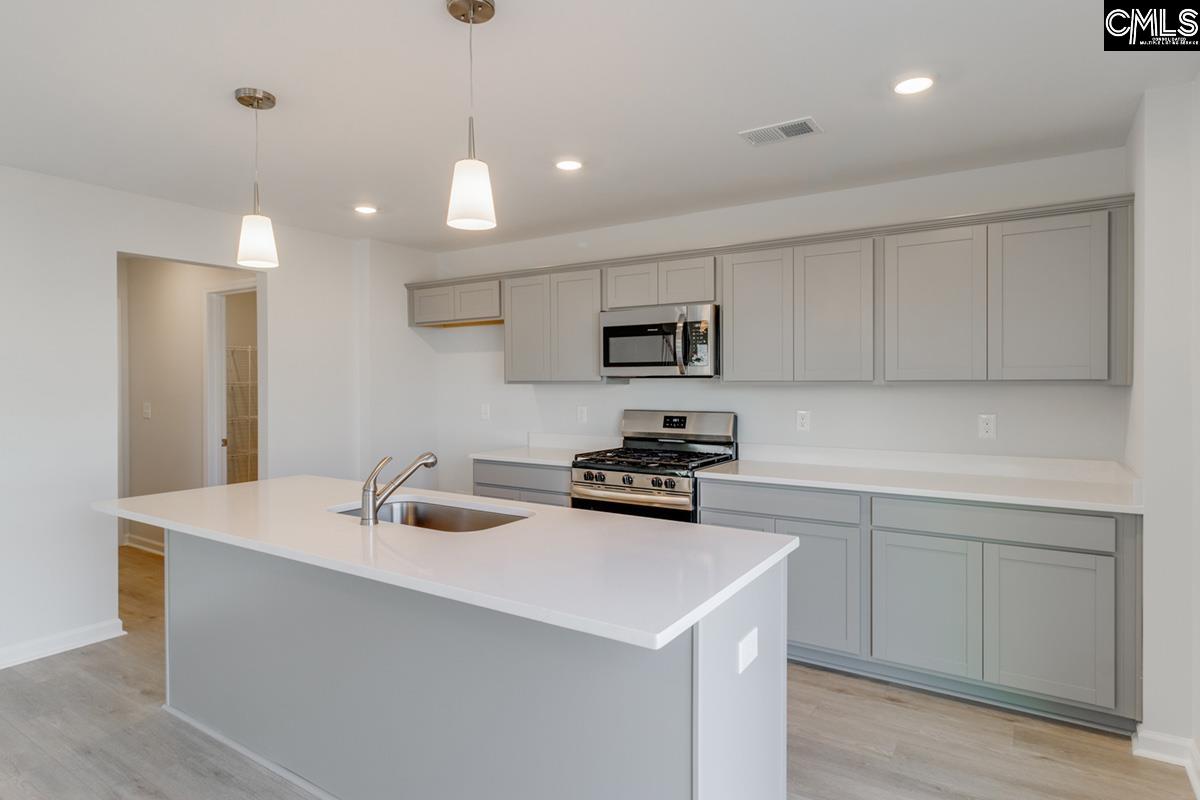 310 Aldergate Drive Lexington, SC 29073