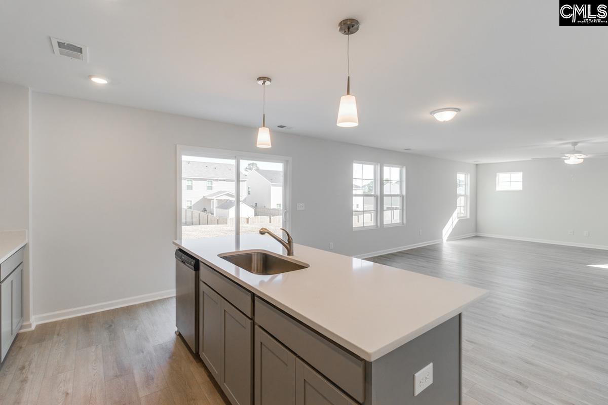 310 Aldergate Drive Lexington, SC 29073