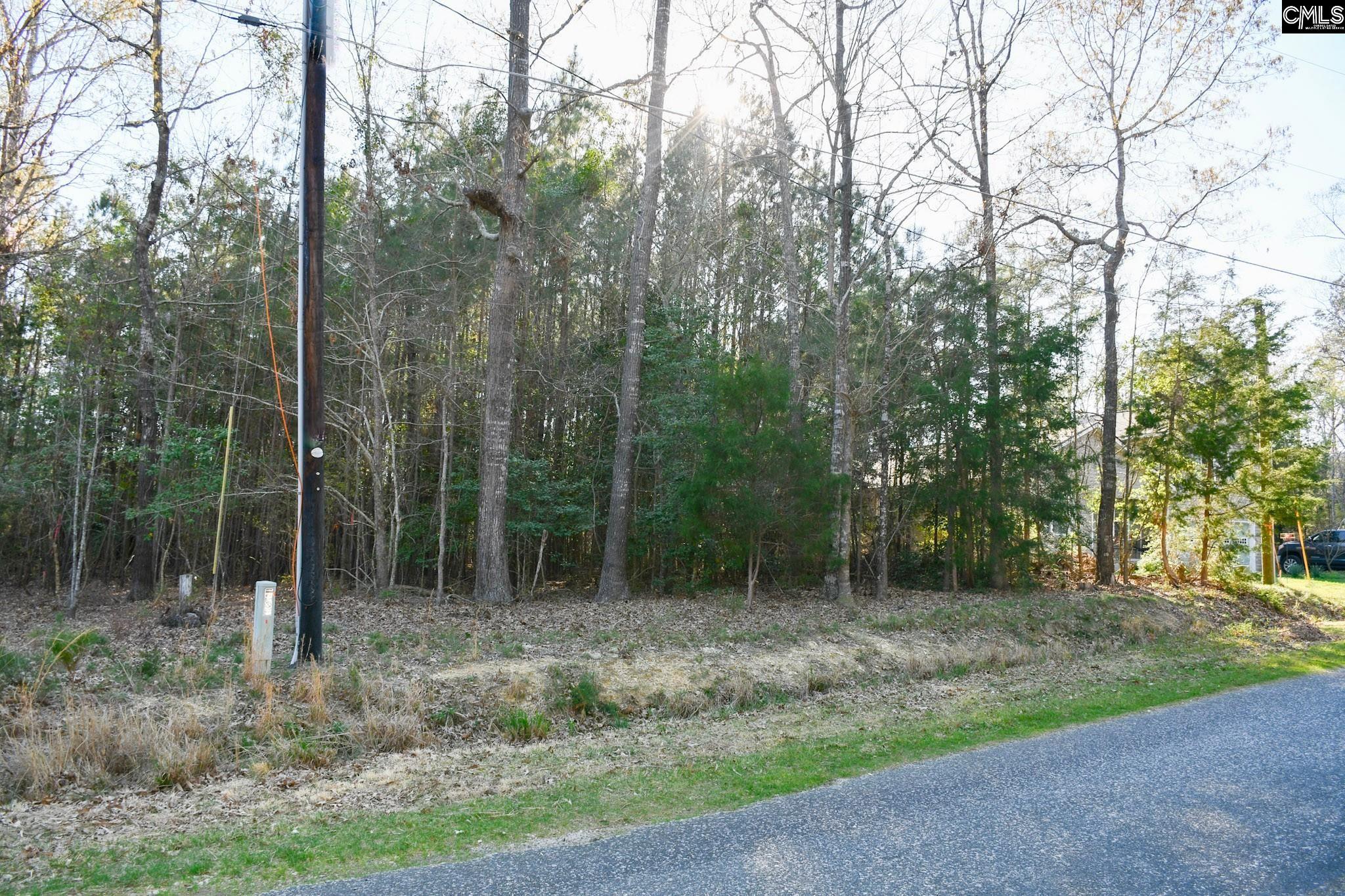 Hunter Drive Chapin, SC 29036