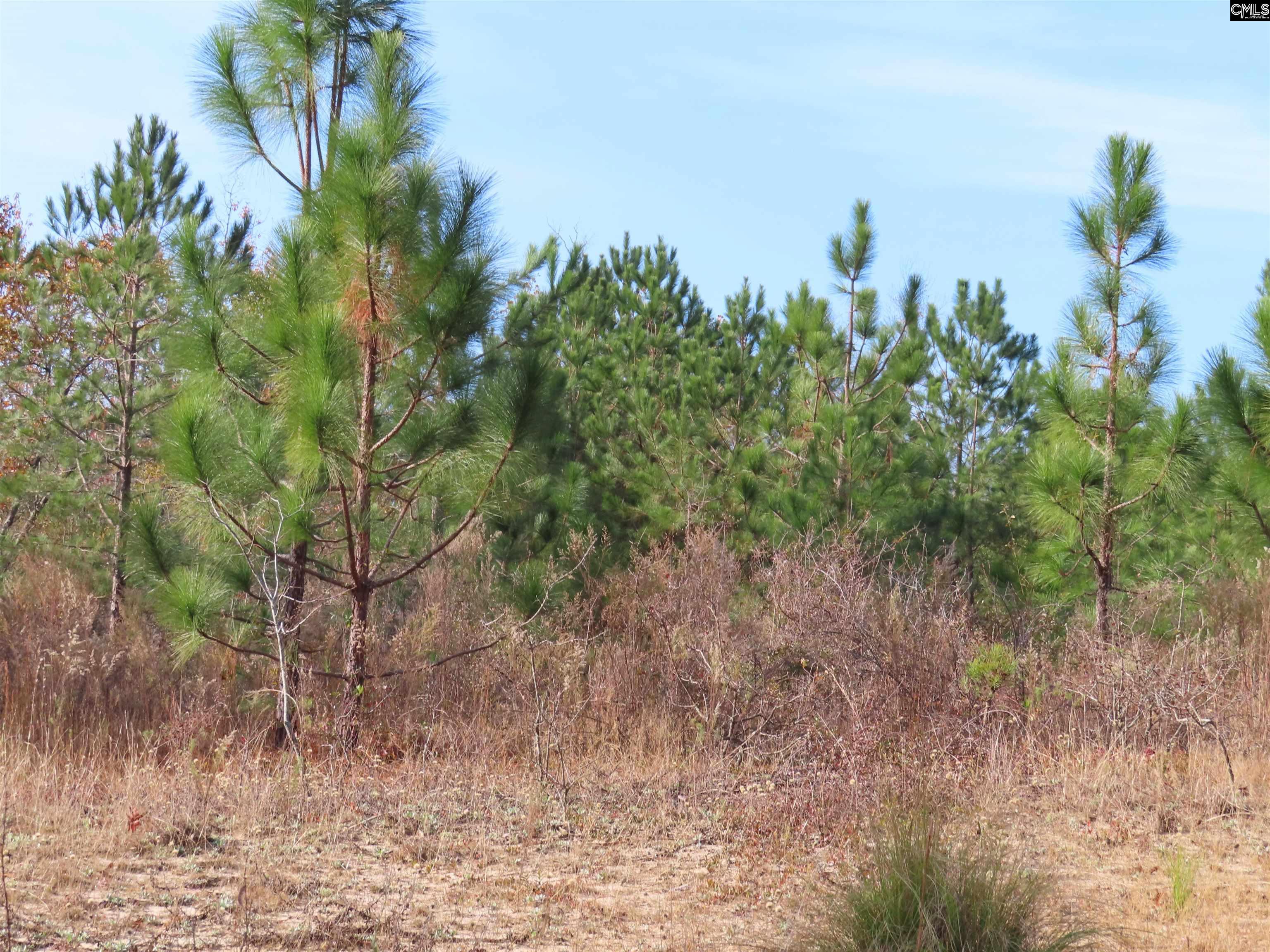 Kennedy Pond Road Wagener, SC 29164