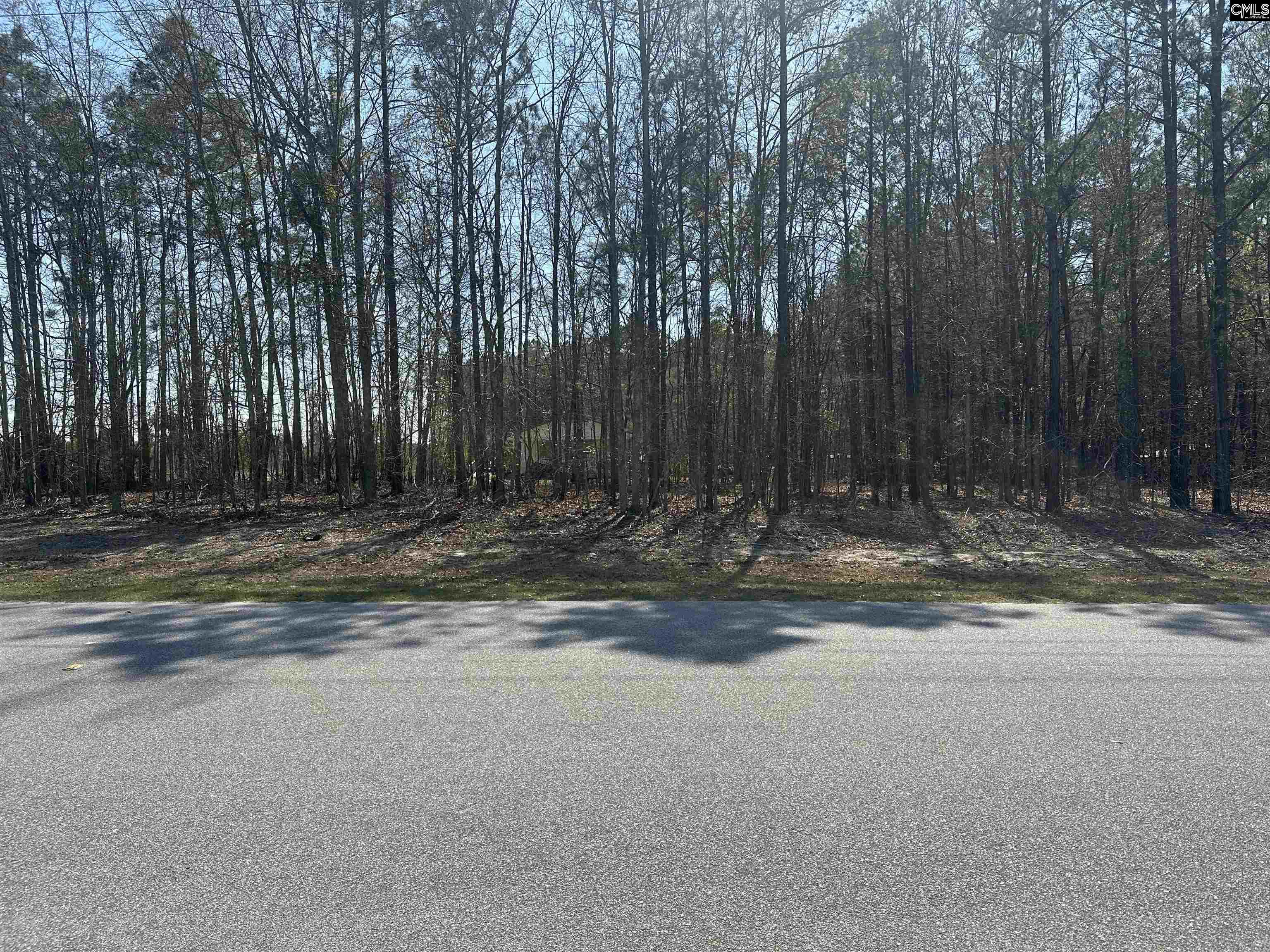 401 Inwood Street, Bethune, South Carolina image 2