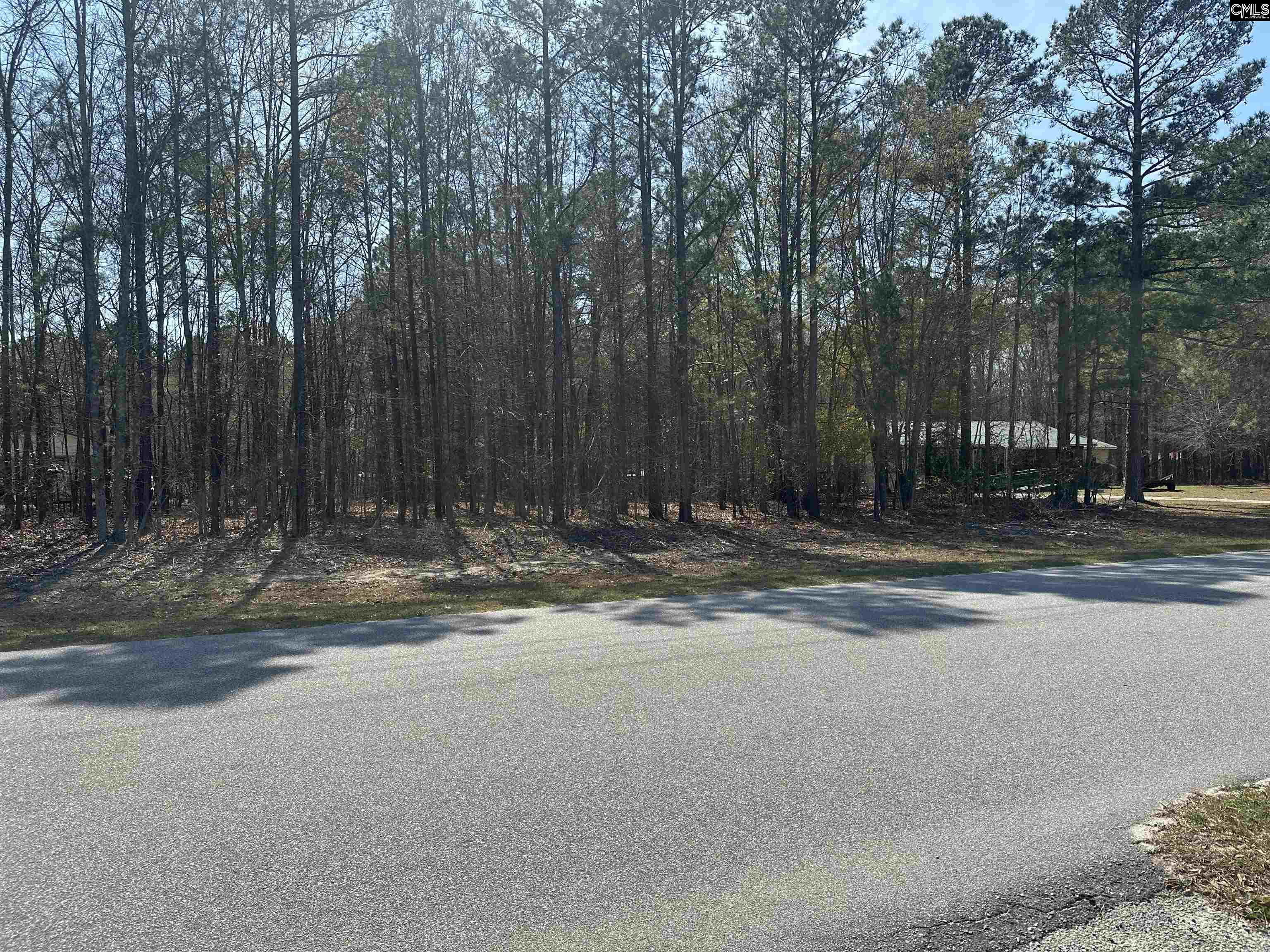 401 Inwood Street, Bethune, South Carolina image 3