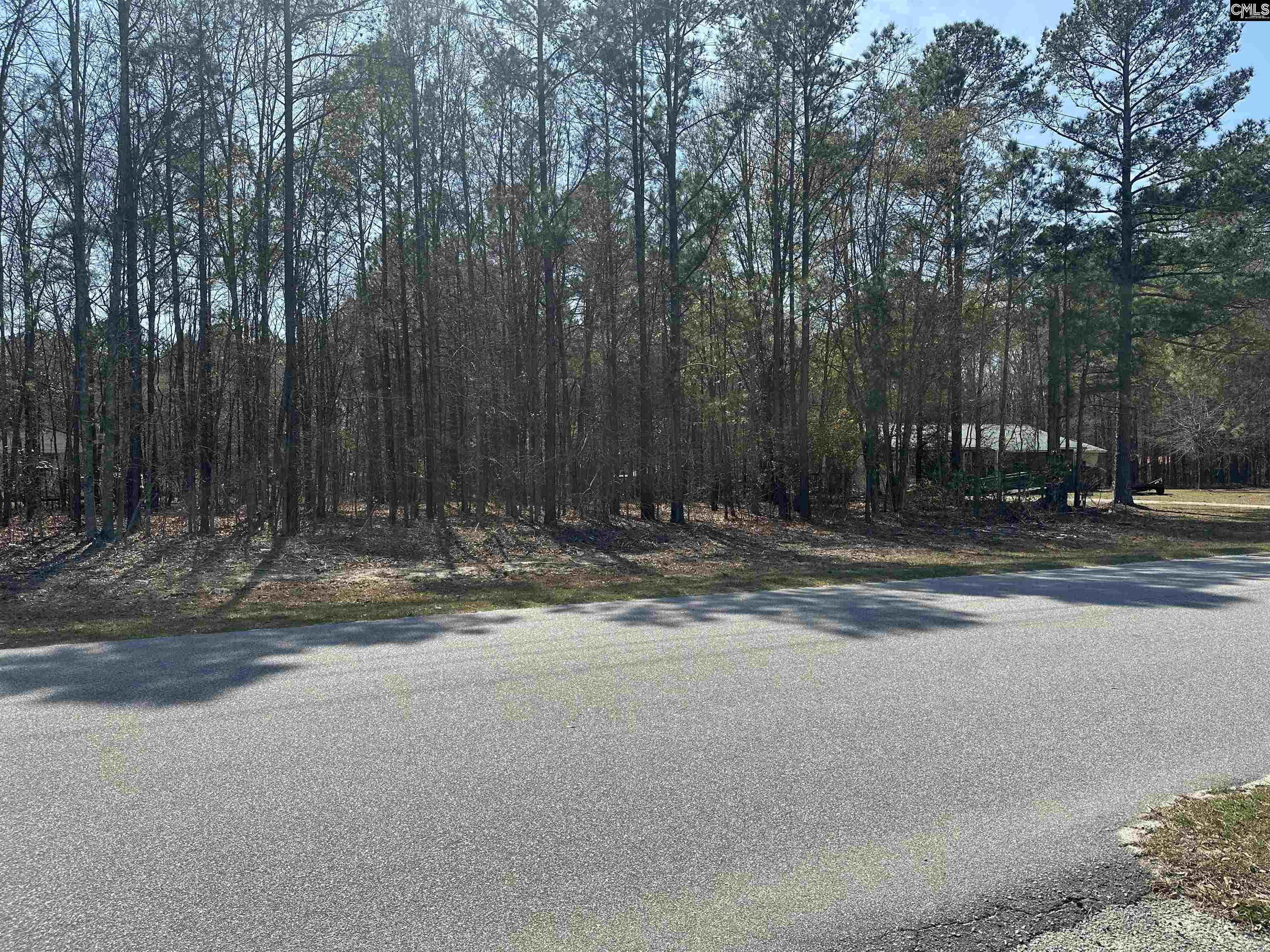 401 Inwood Street, Bethune, South Carolina image 5