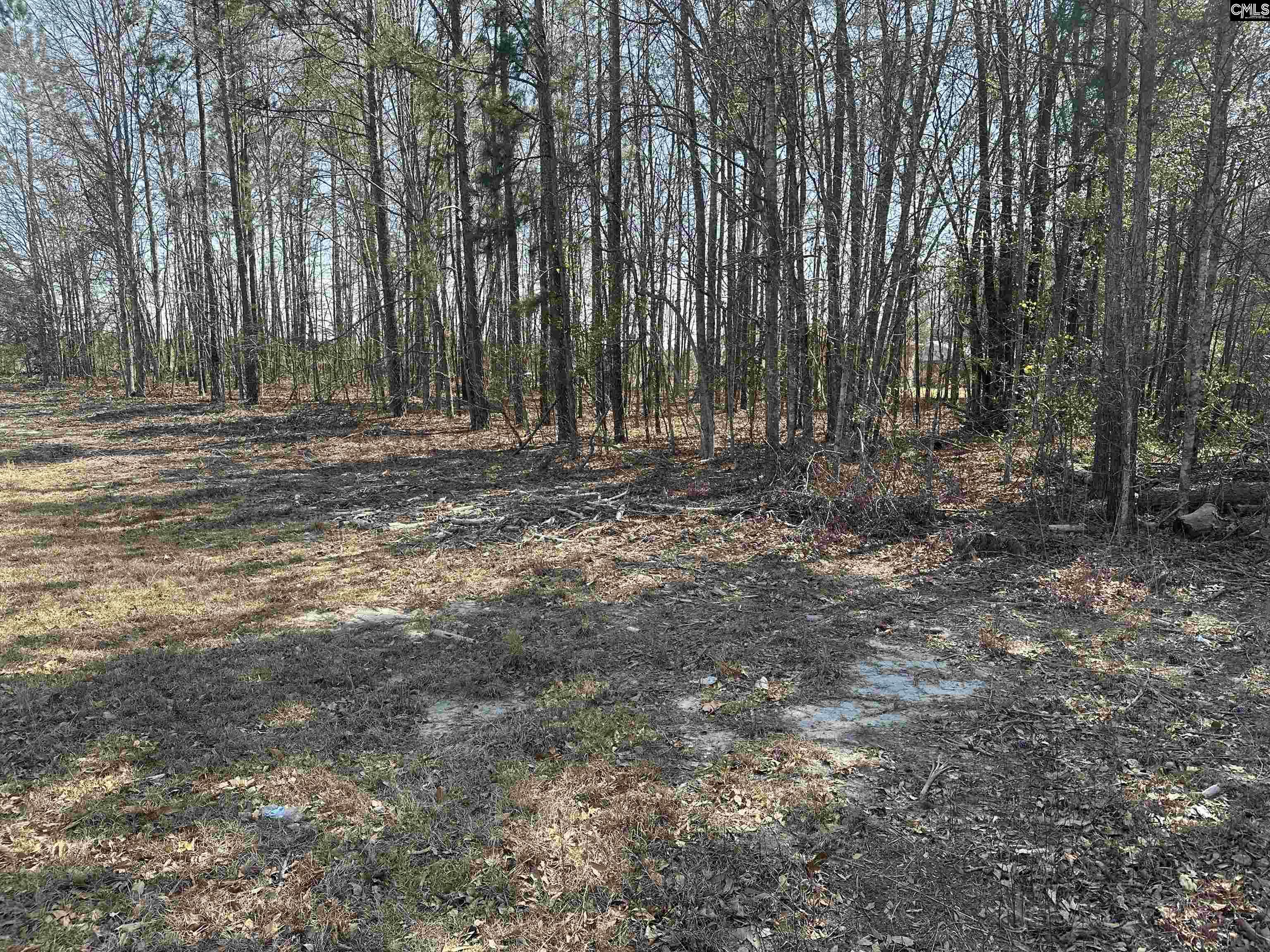 401 Inwood Street, Bethune, South Carolina image 6
