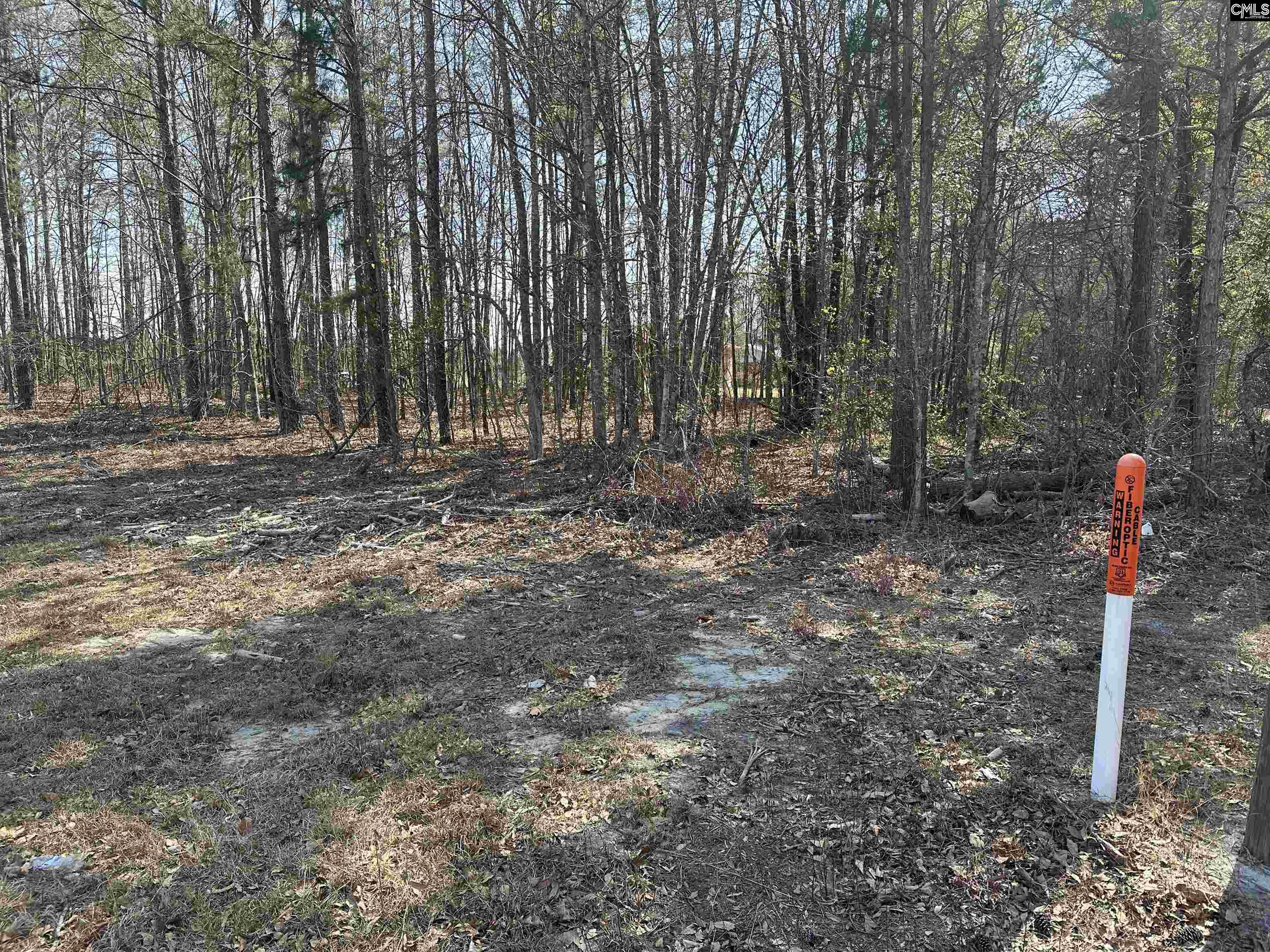 401 Inwood Street, Bethune, South Carolina image 7