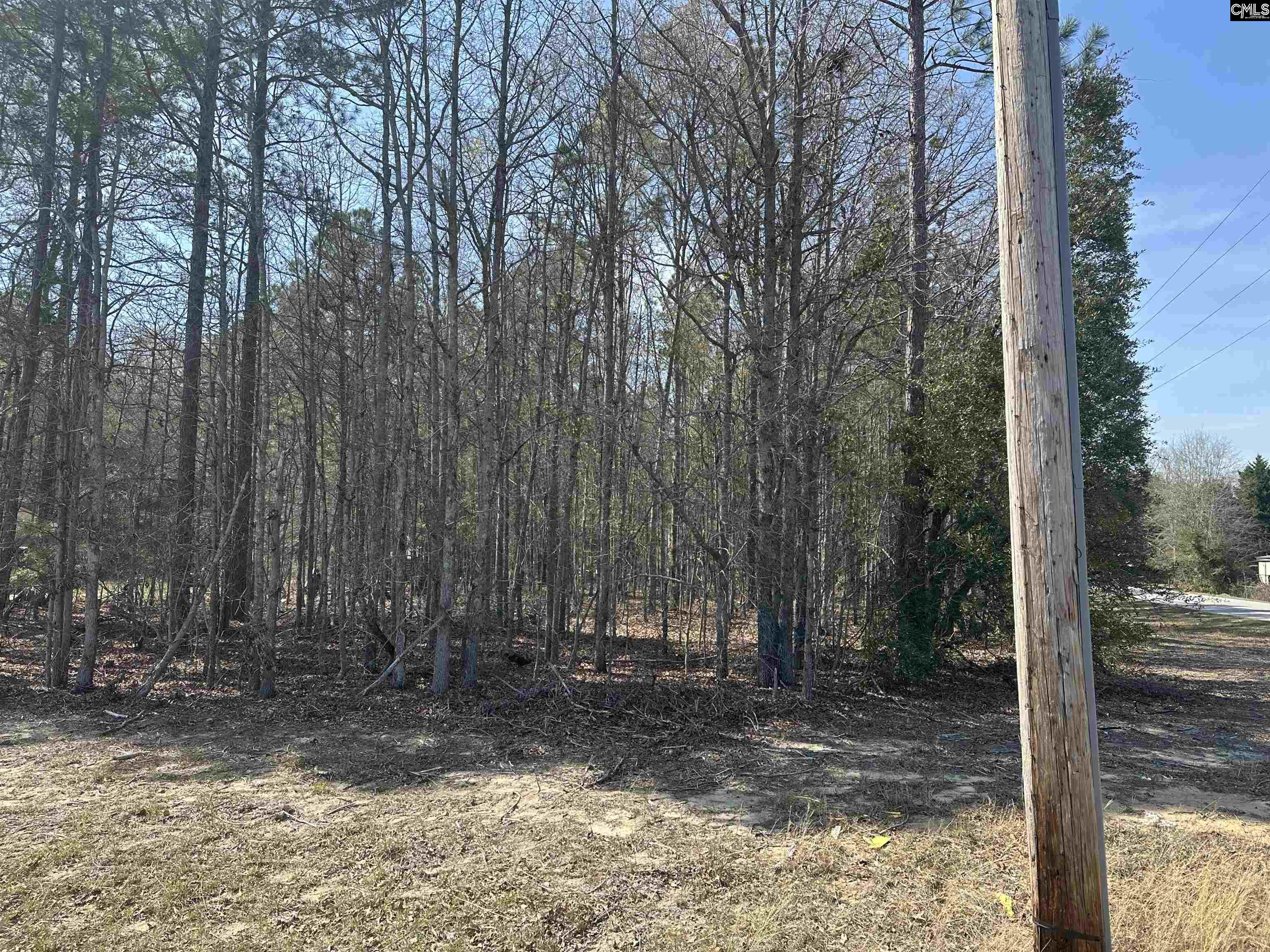 401 Inwood Street, Bethune, South Carolina image 9