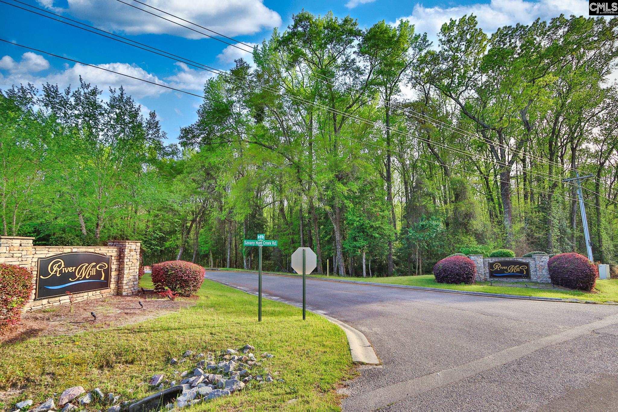 017 River Mill Way, Gaston, South Carolina image 1