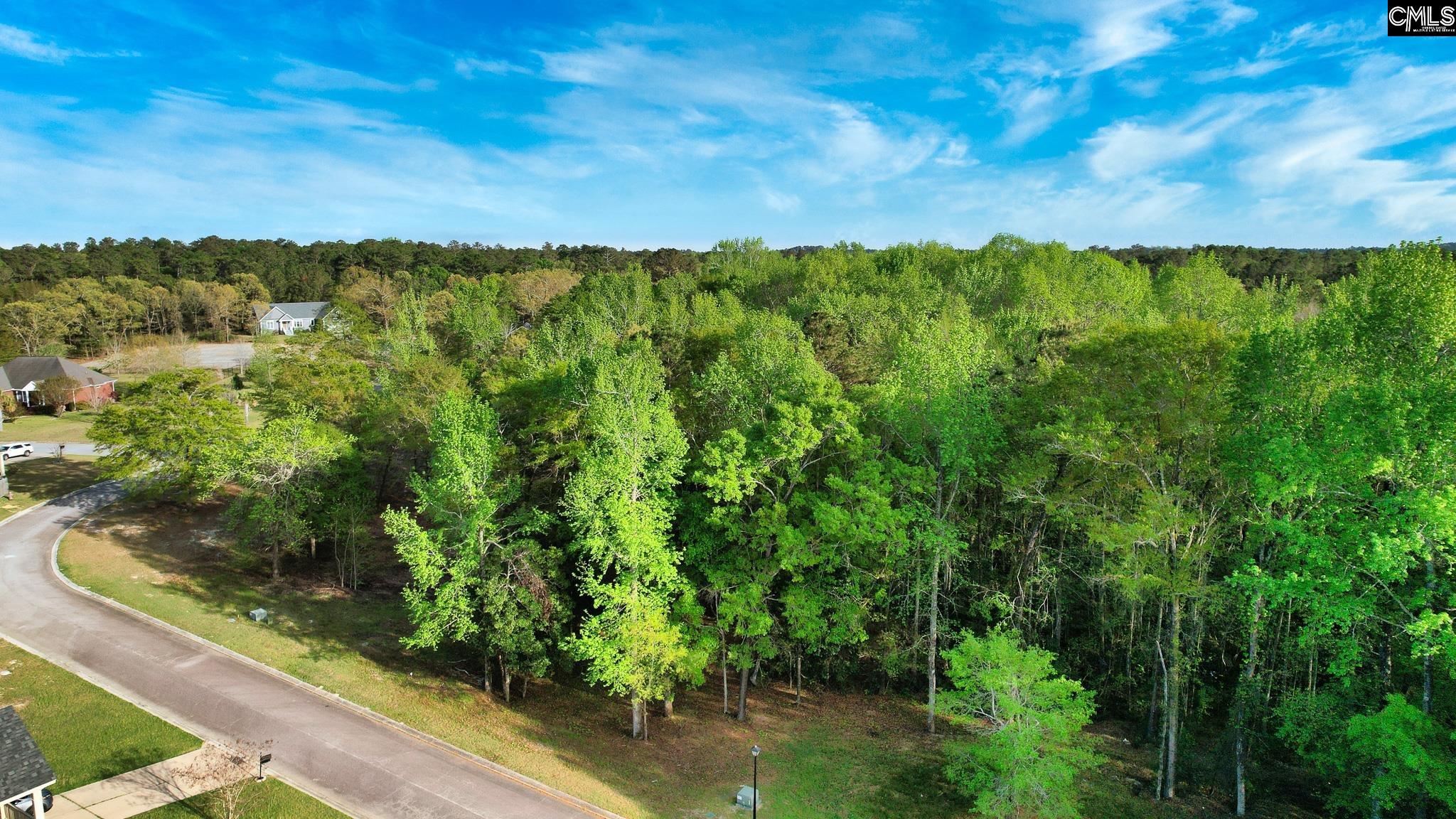 017 River Mill Way, Gaston, South Carolina image 11