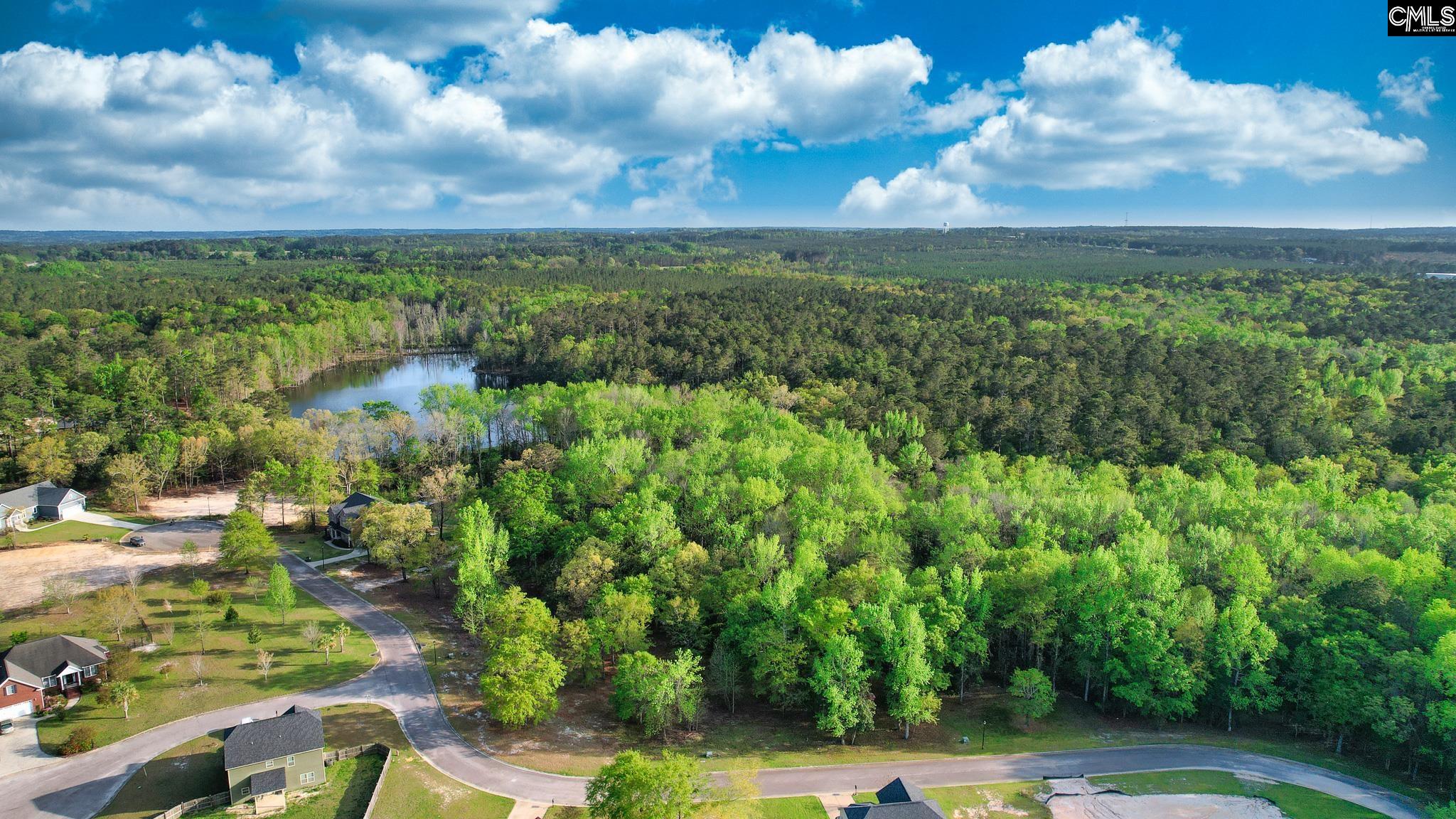 017 River Mill Way, Gaston, South Carolina image 13