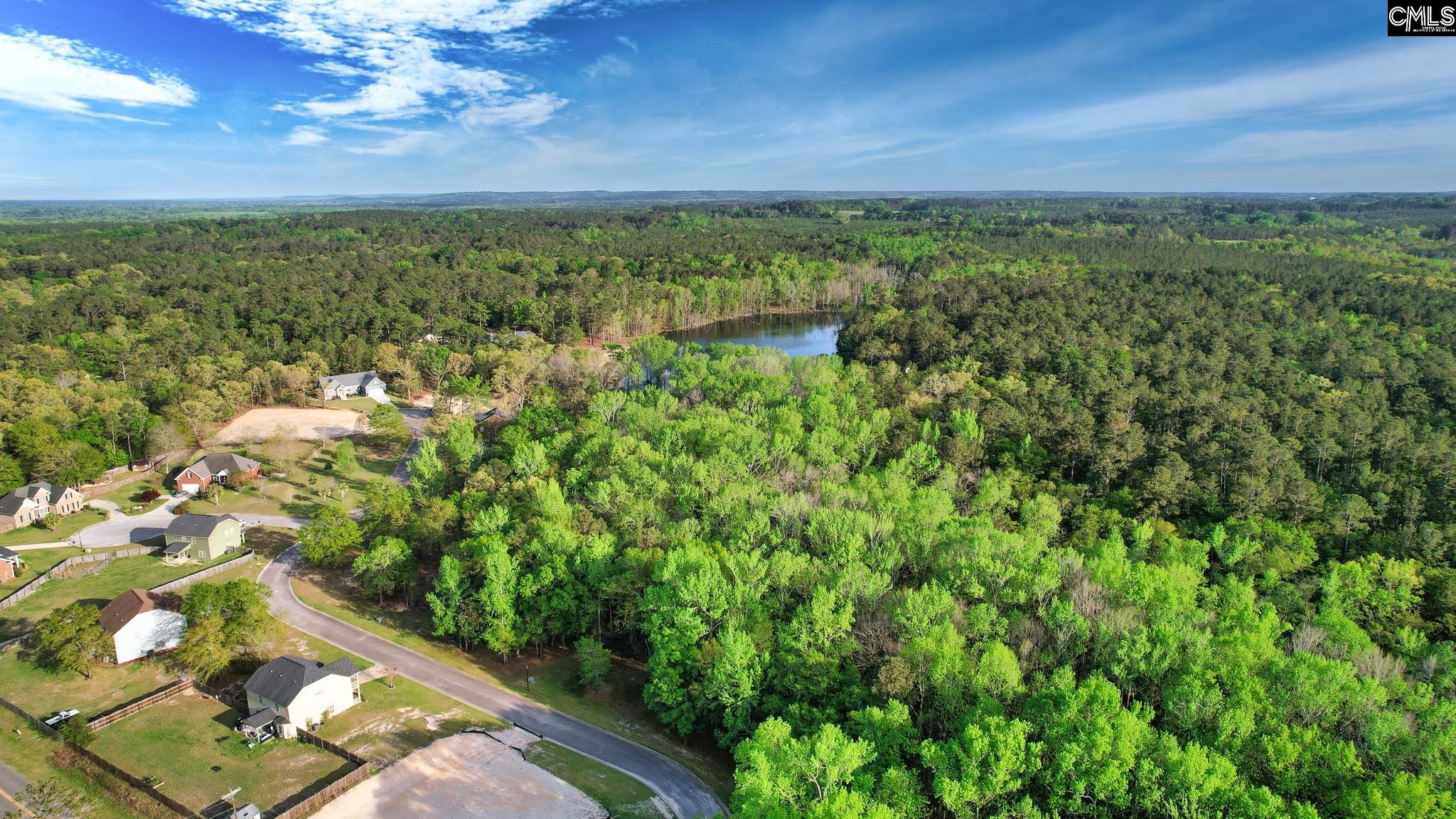 017 River Mill Way, Gaston, South Carolina image 14