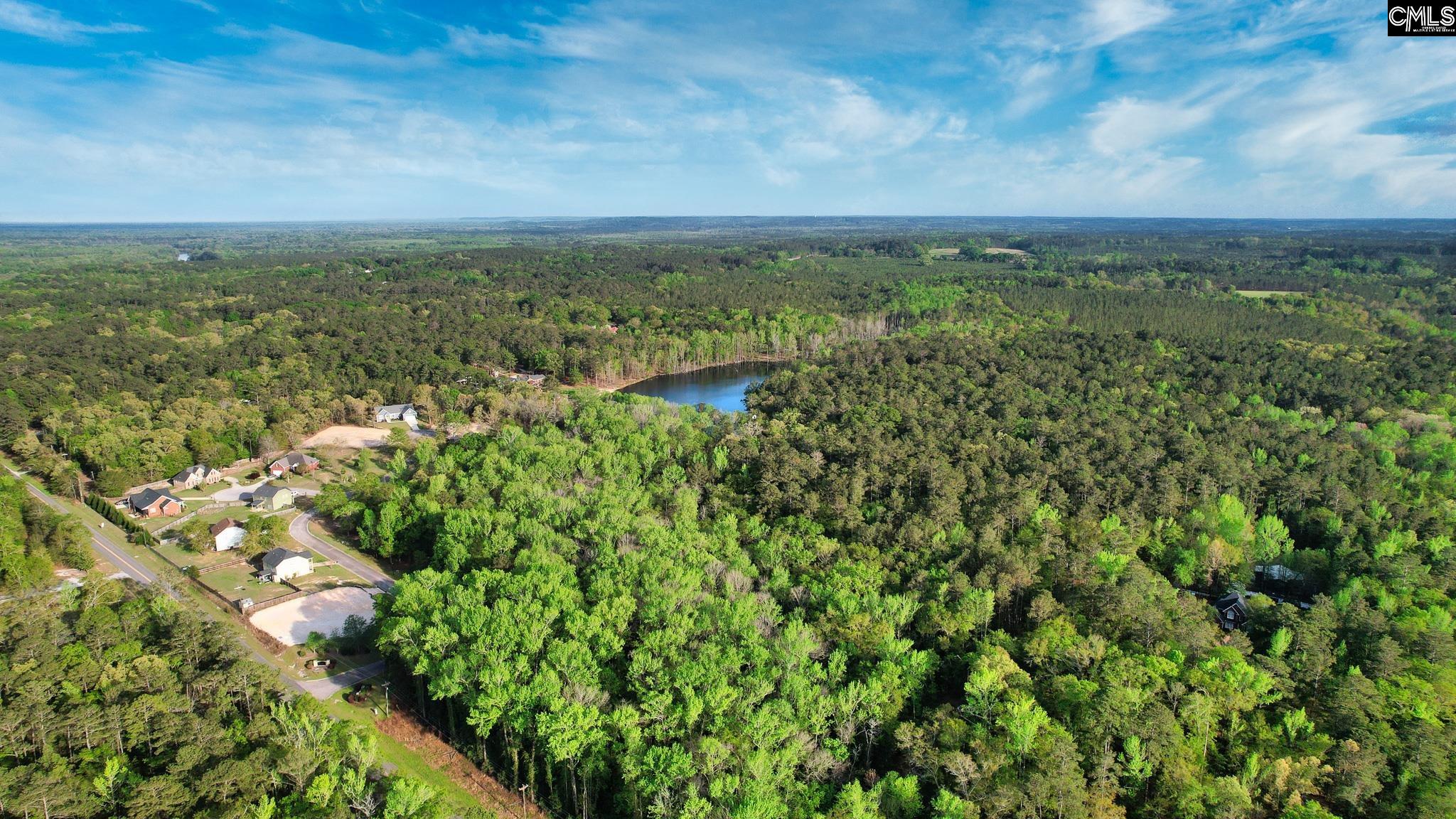017 River Mill Way, Gaston, South Carolina image 15