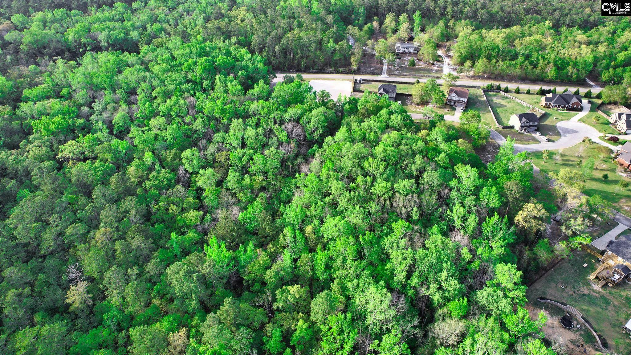 017 River Mill Way, Gaston, South Carolina image 18