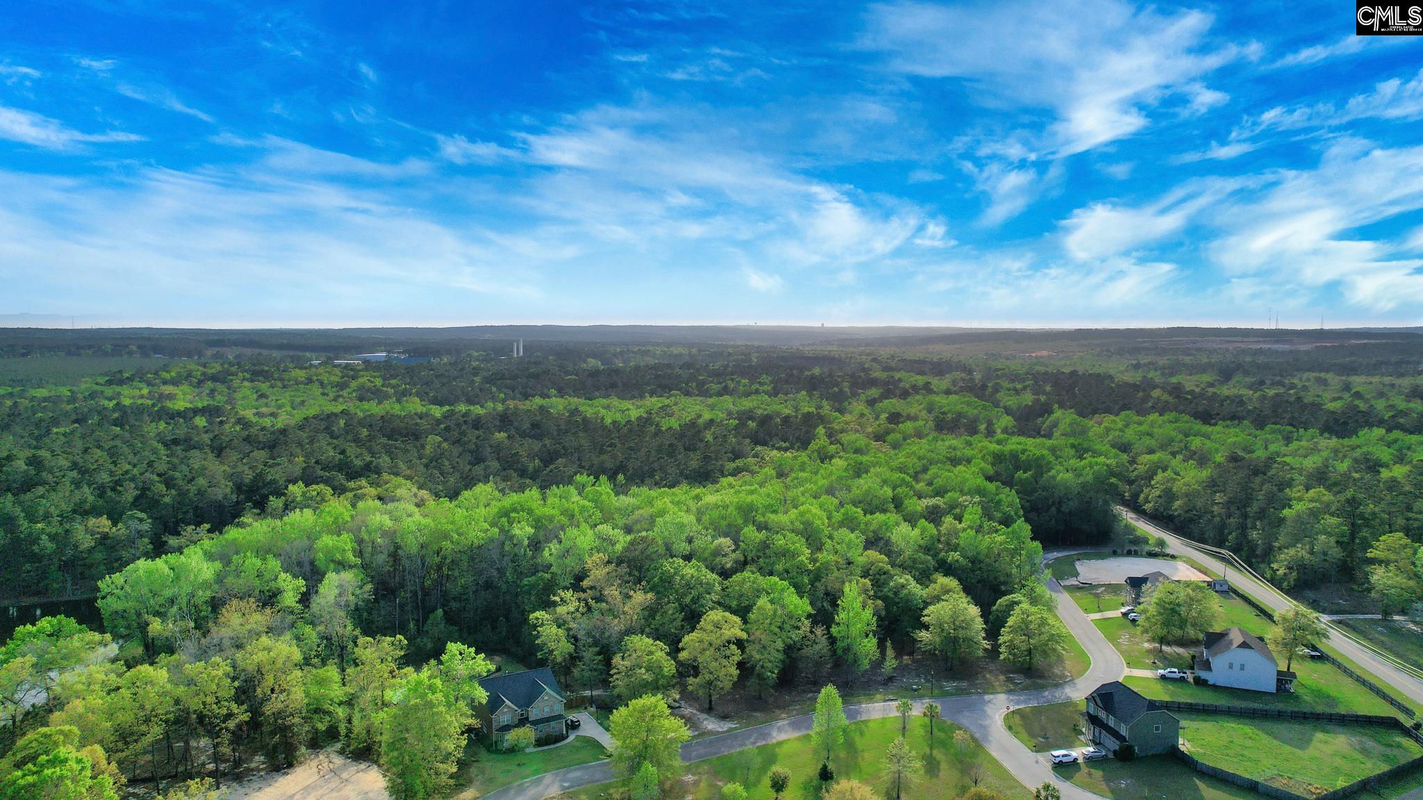 017 River Mill Way, Gaston, South Carolina image 20