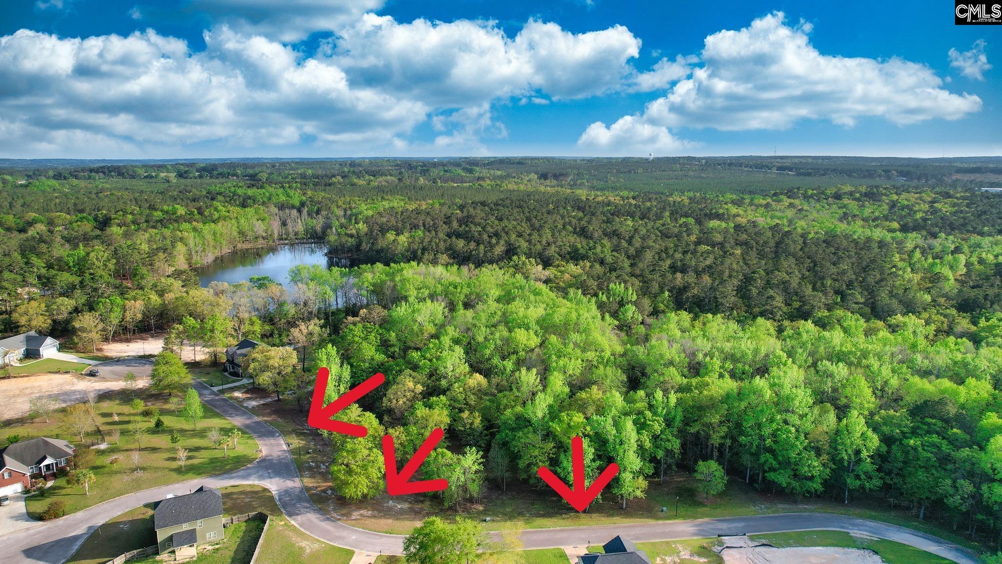 017 River Mill Way, Gaston, South Carolina image 3
