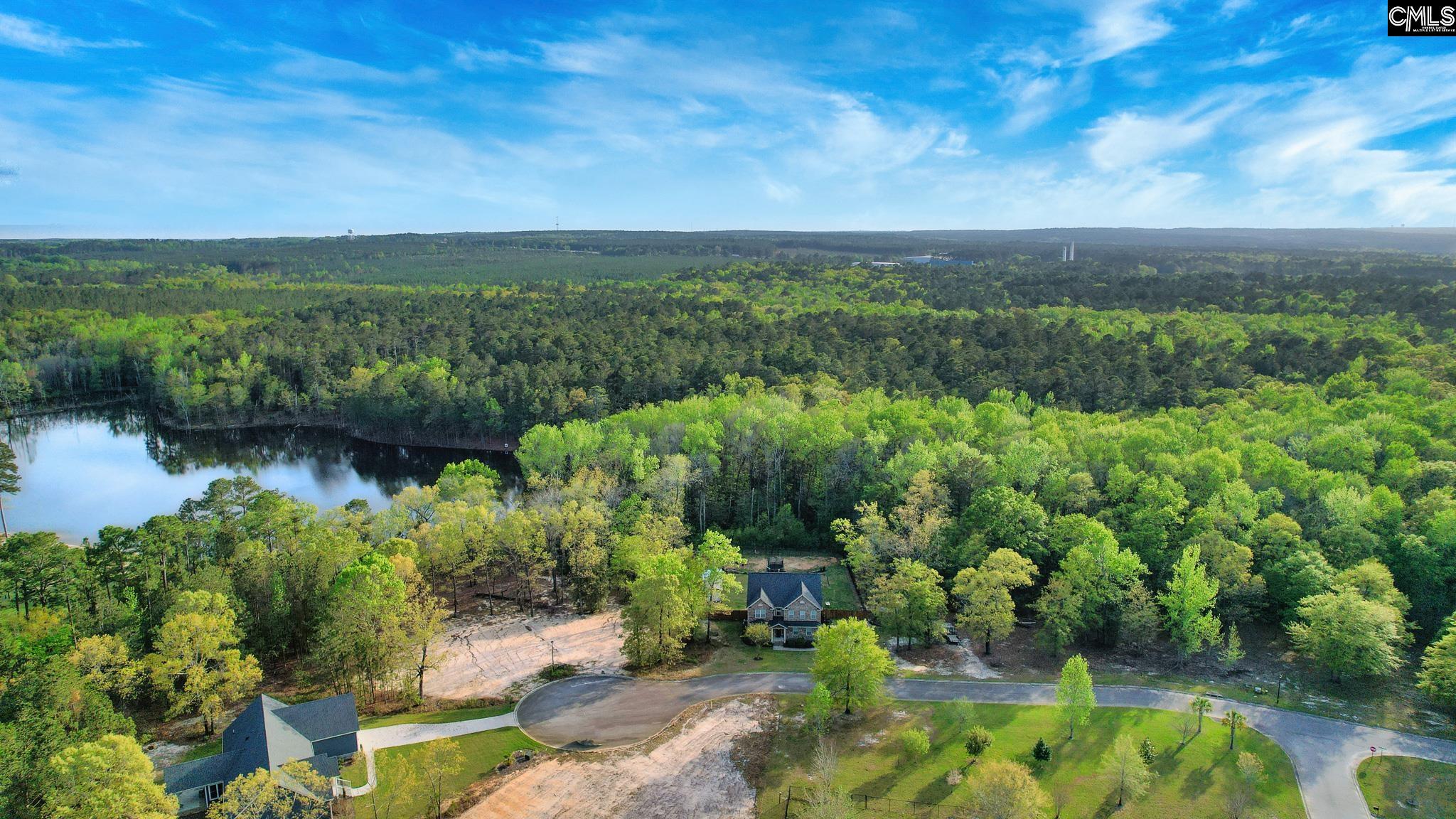 017 River Mill Way, Gaston, South Carolina image 21