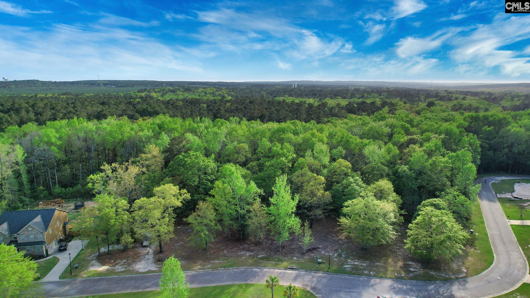 017 River Mill Way, Gaston, South Carolina image 22