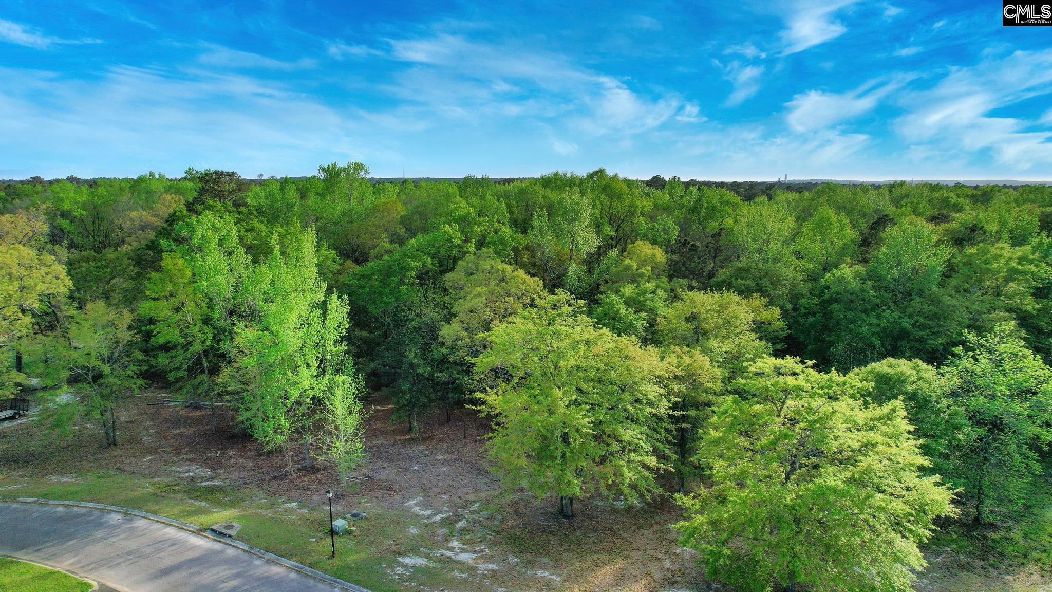 017 River Mill Way, Gaston, South Carolina image 23