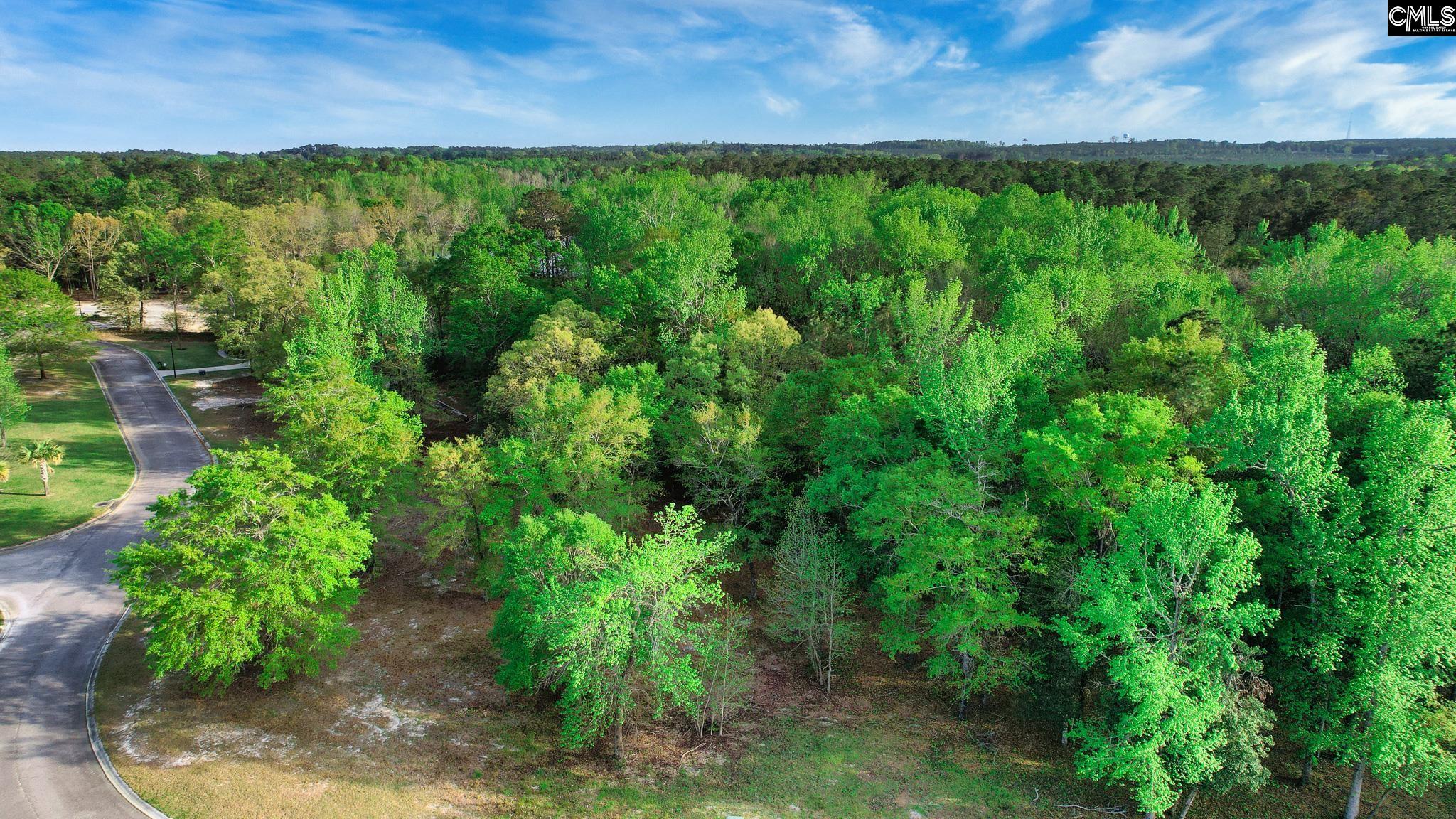 017 River Mill Way, Gaston, South Carolina image 25