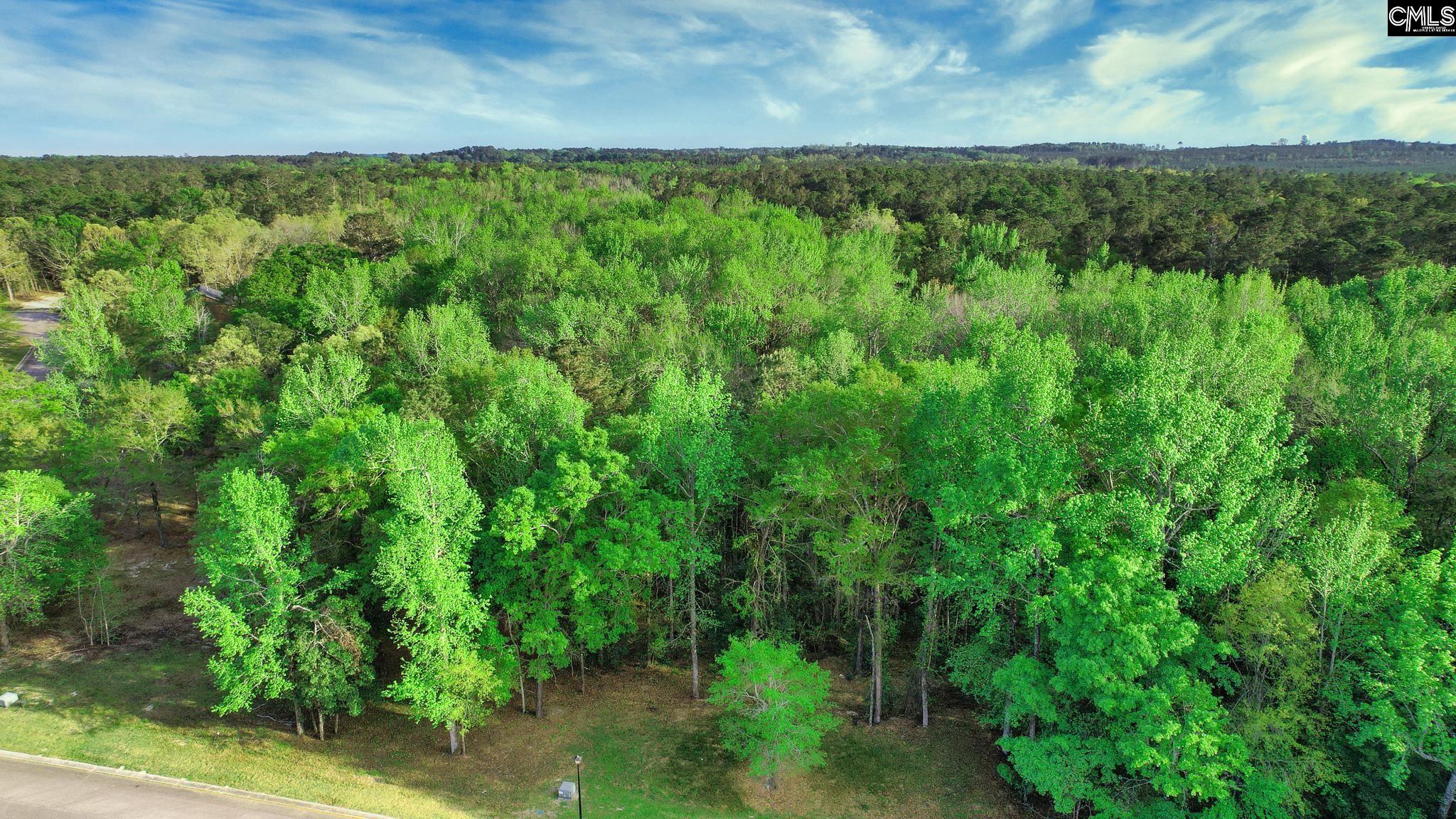 017 River Mill Way, Gaston, South Carolina image 26
