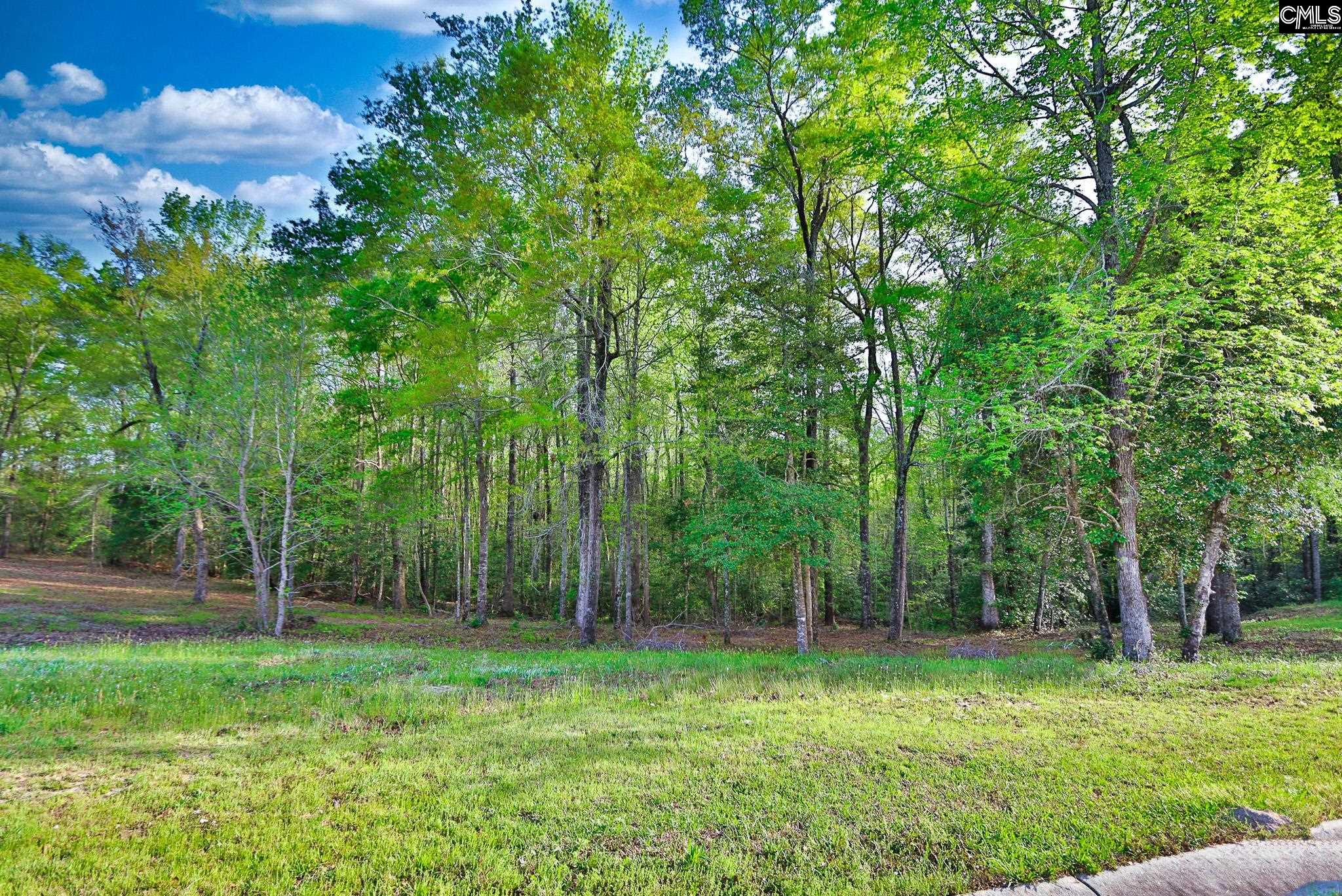 017 River Mill Way, Gaston, South Carolina image 29