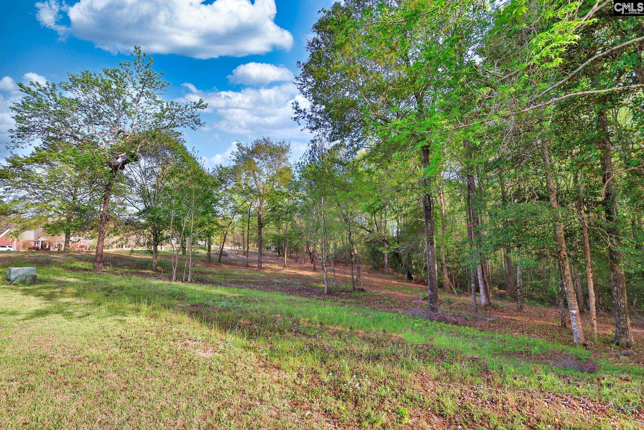 017 River Mill Way, Gaston, South Carolina image 30