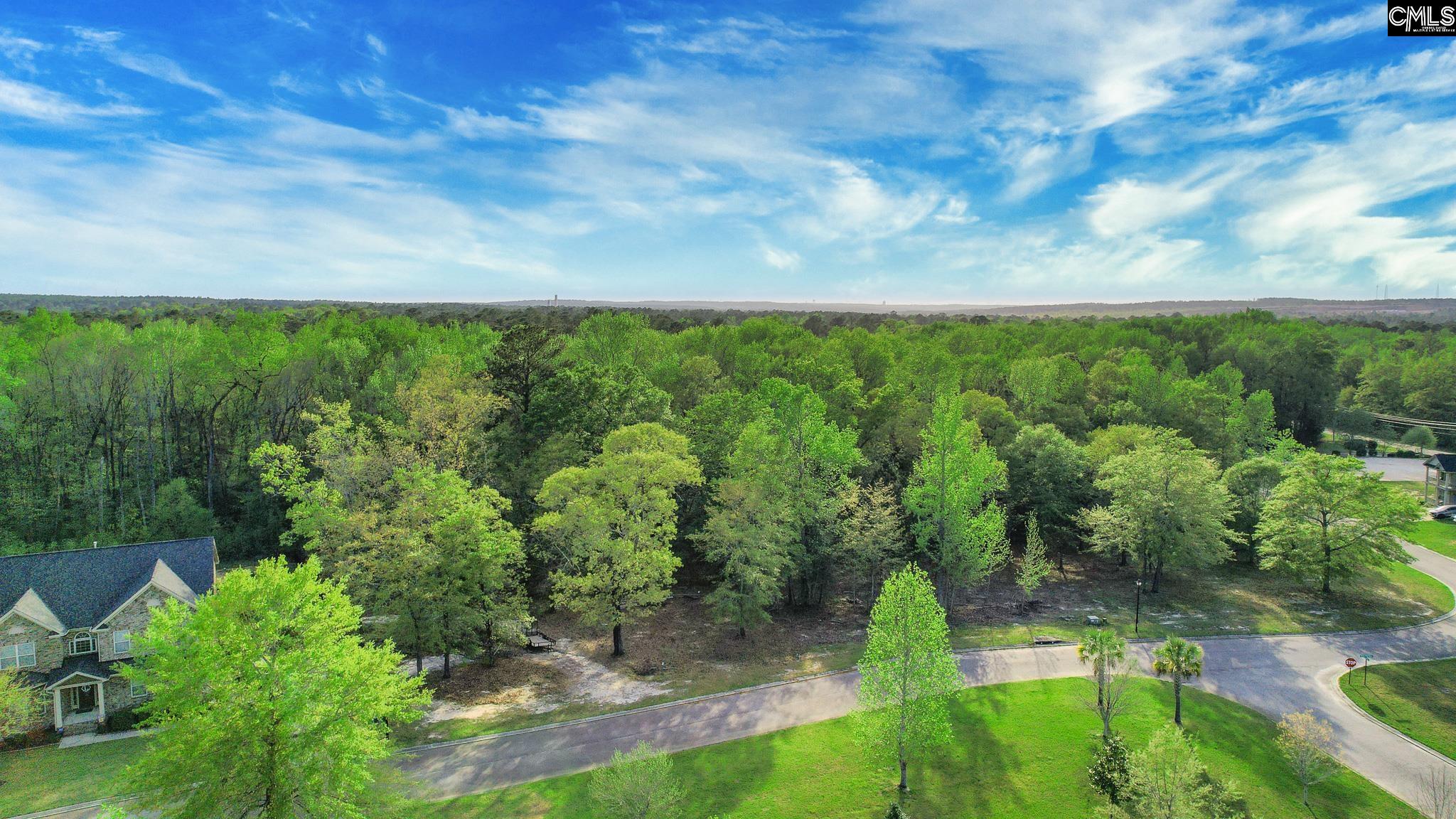 017 River Mill Way, Gaston, South Carolina image 4