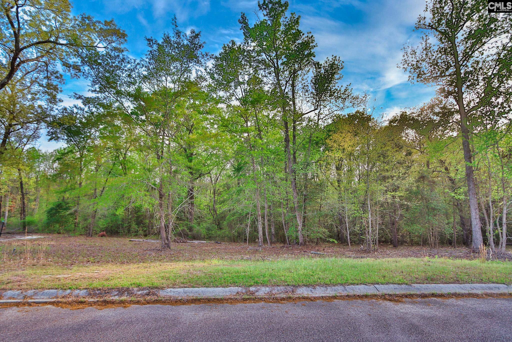 017 River Mill Way, Gaston, South Carolina image 31