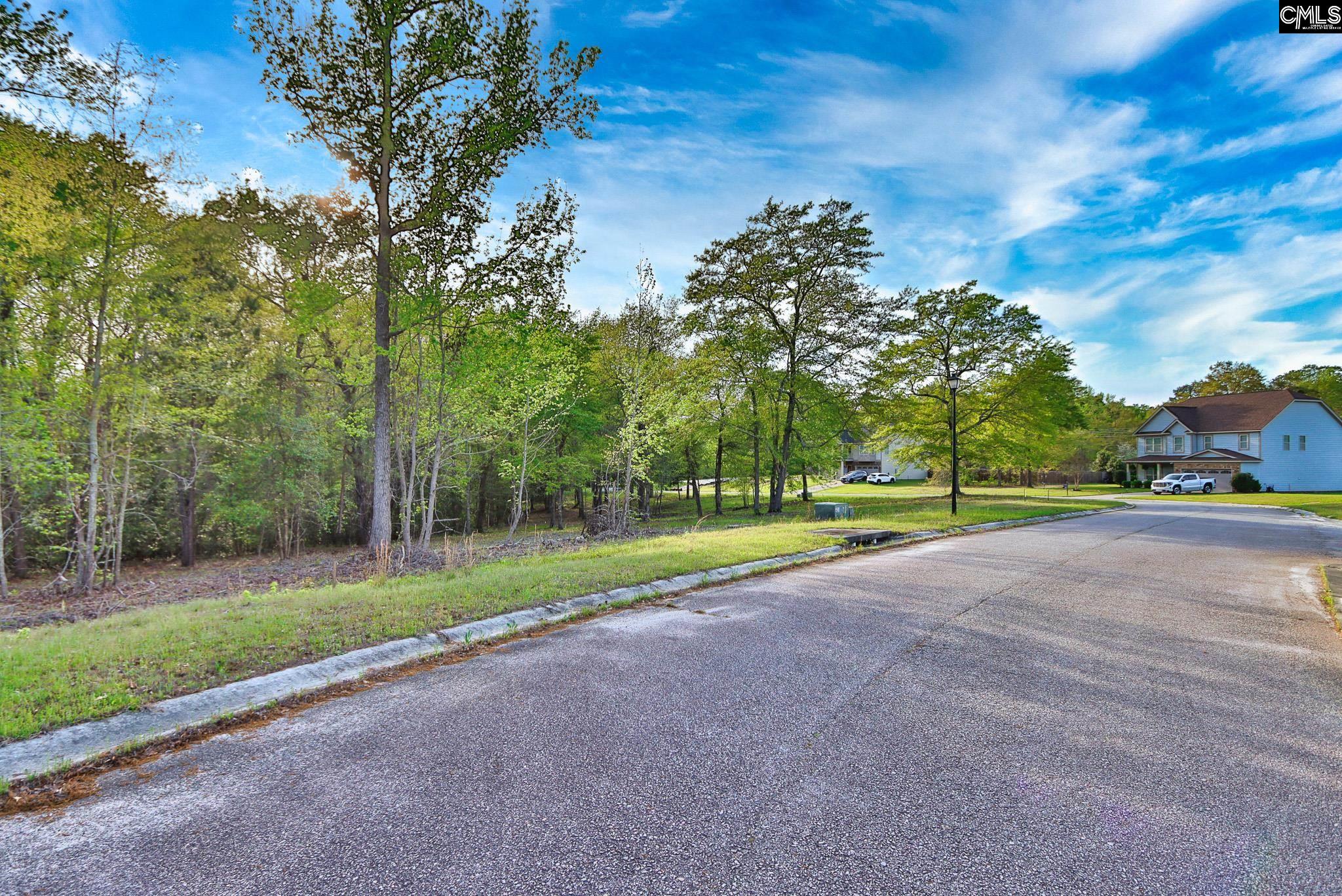 017 River Mill Way, Gaston, South Carolina image 32