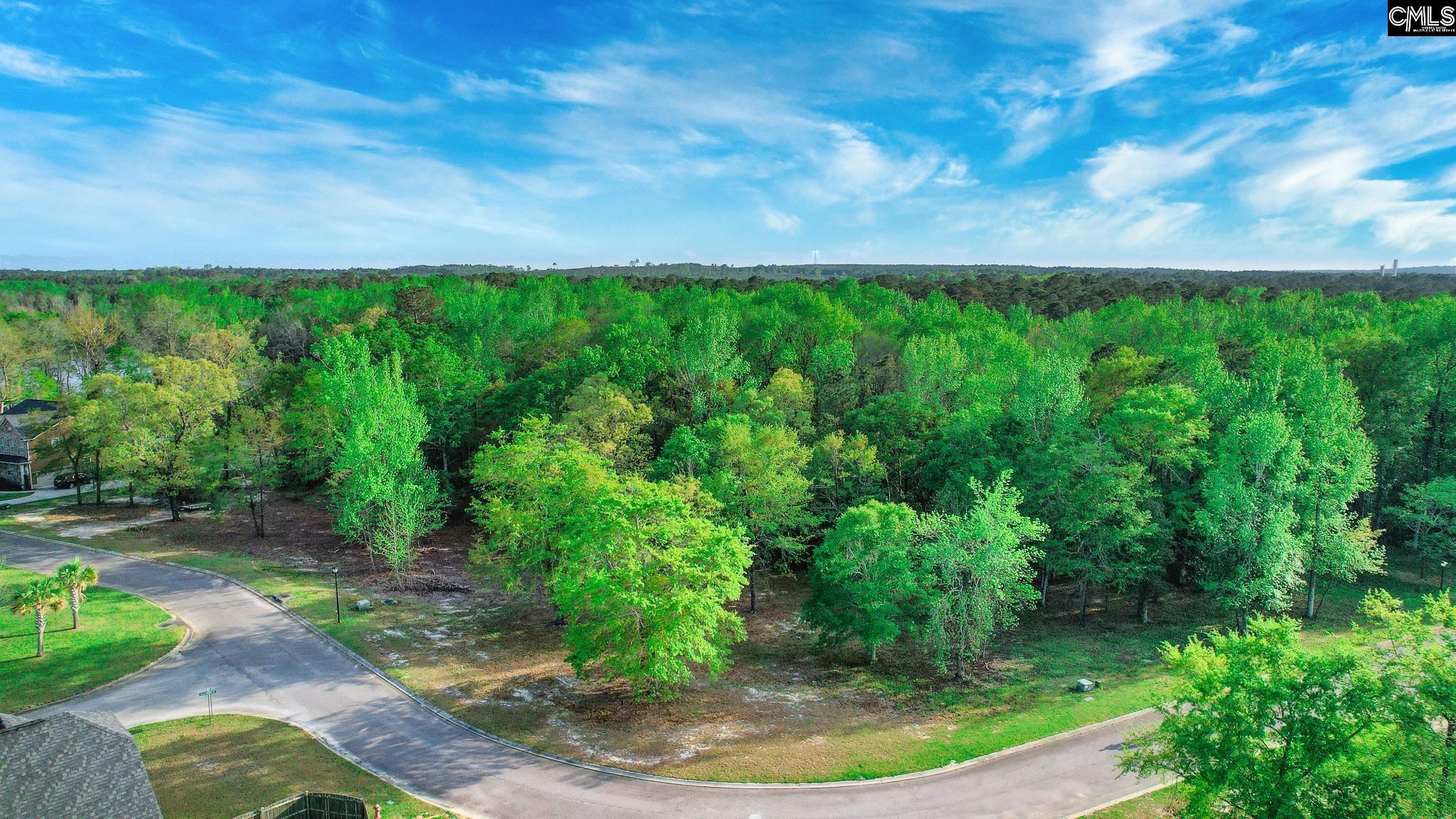 017 River Mill Way, Gaston, South Carolina image 5