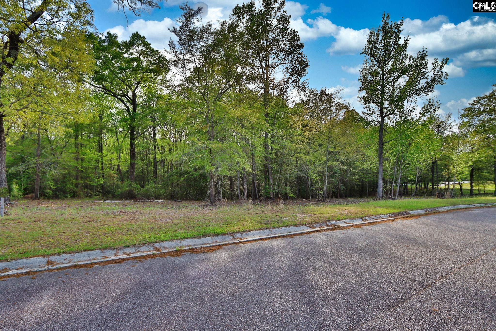 017 River Mill Way, Gaston, South Carolina image 8