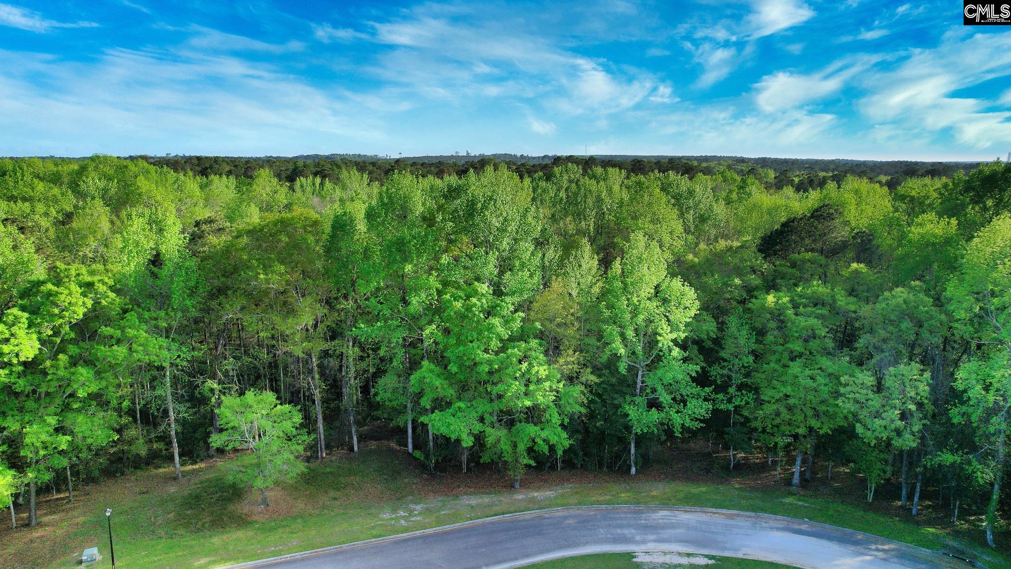 017 River Mill Way, Gaston, South Carolina image 10