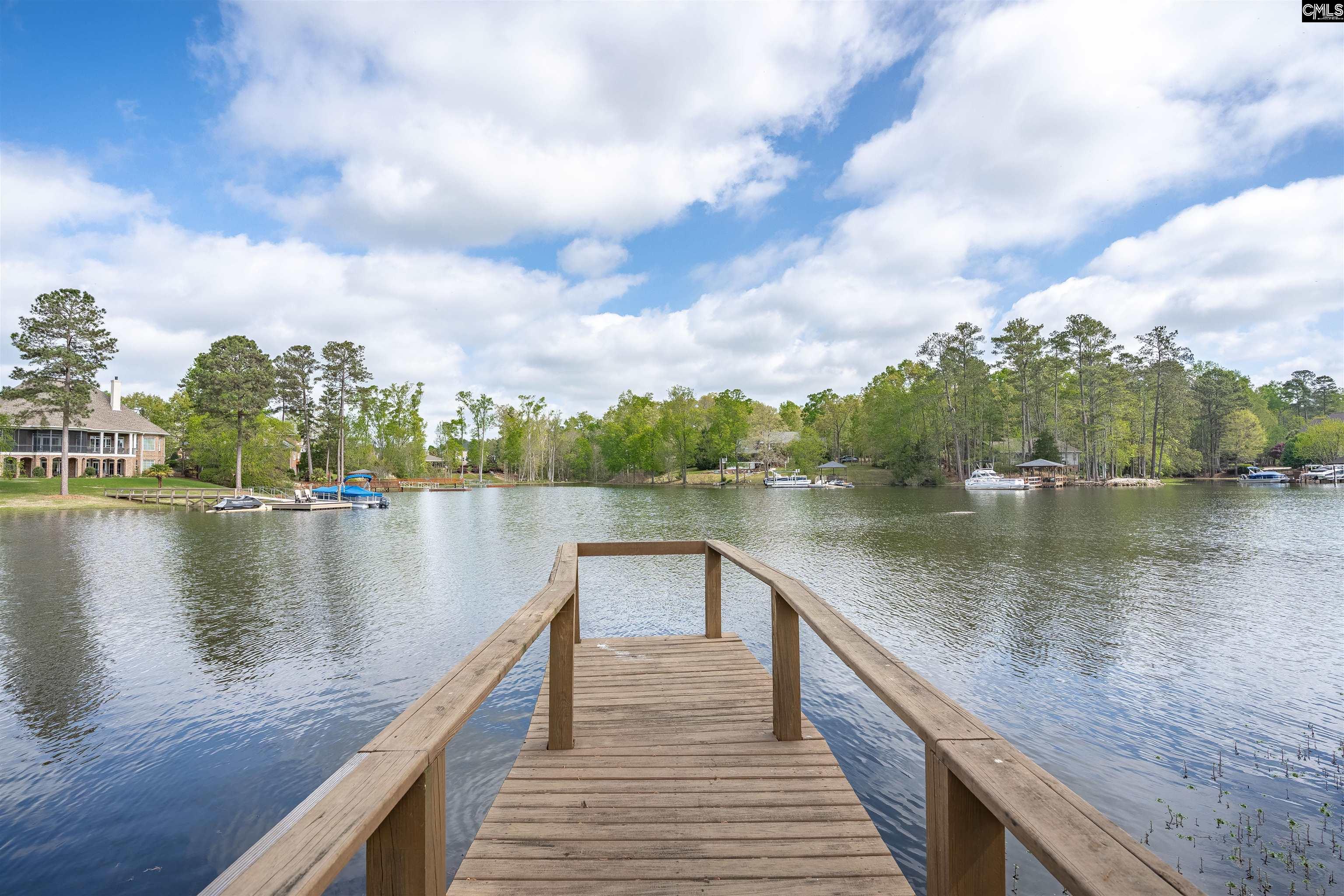 109 Lazy Cove Lane Chapin, SC 29036