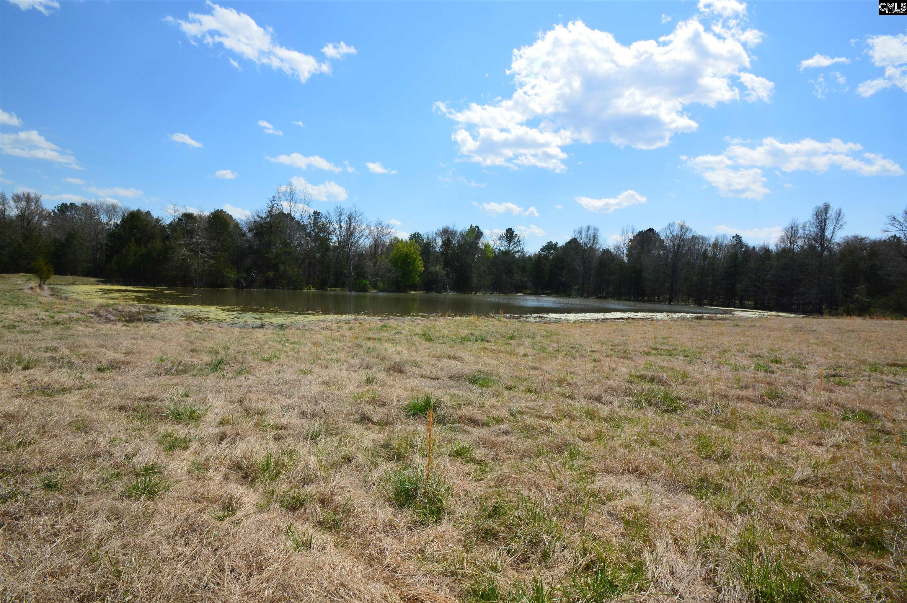 869 Meadowbrook Road, Chesterfield, South Carolina image 2