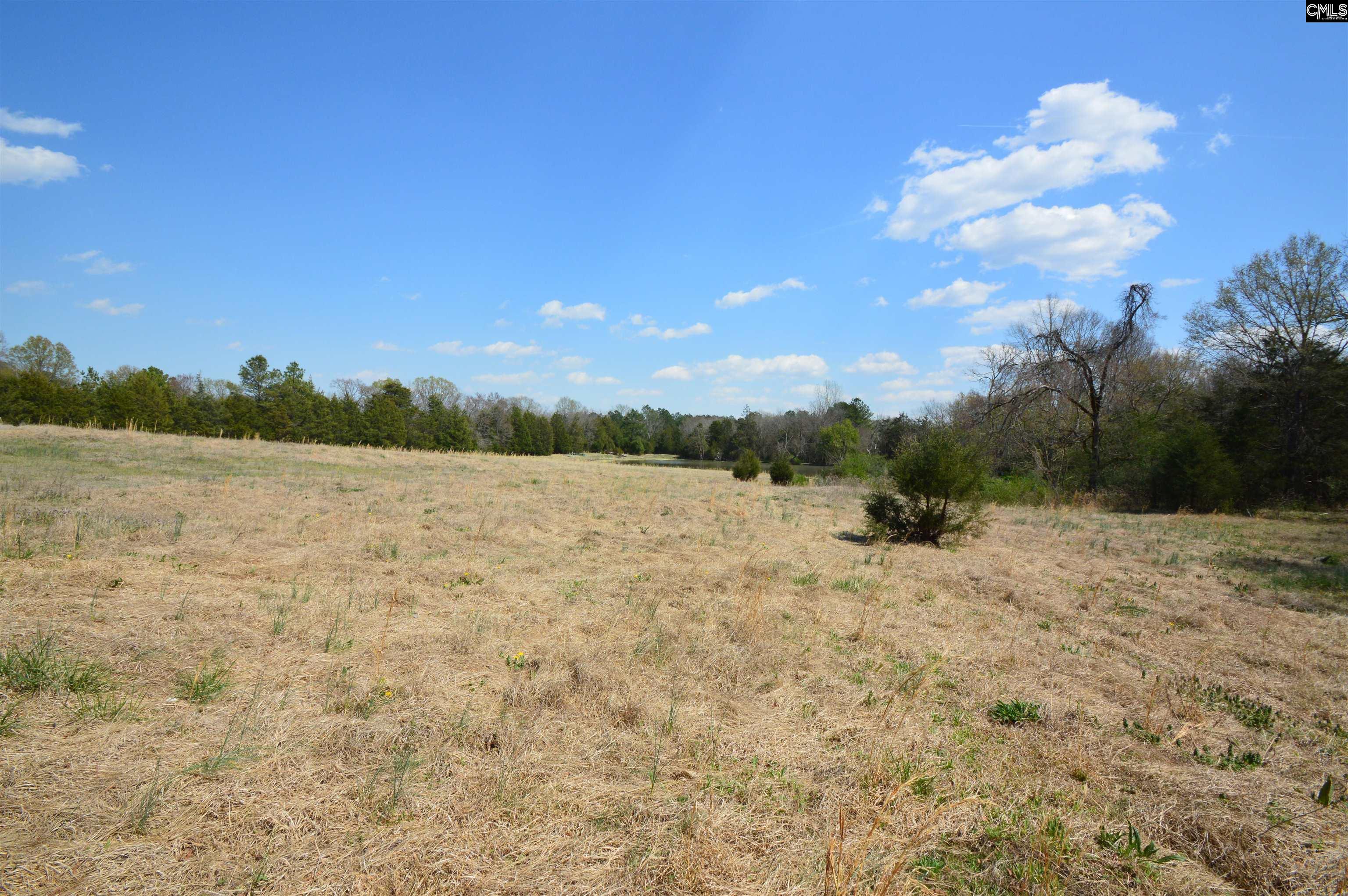 869 Meadowbrook Road, Chesterfield, South Carolina image 12