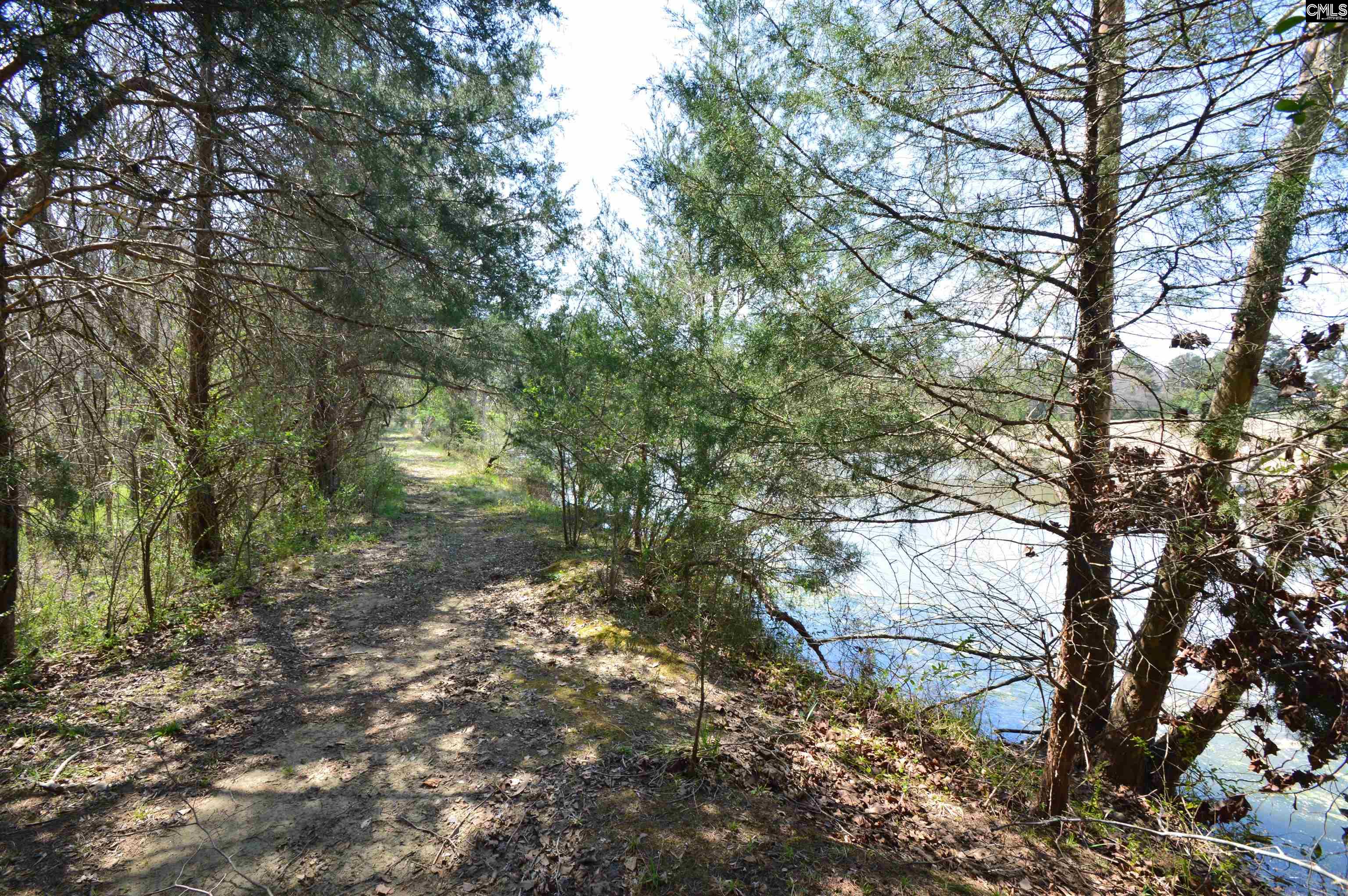 869 Meadowbrook Road, Chesterfield, South Carolina image 4