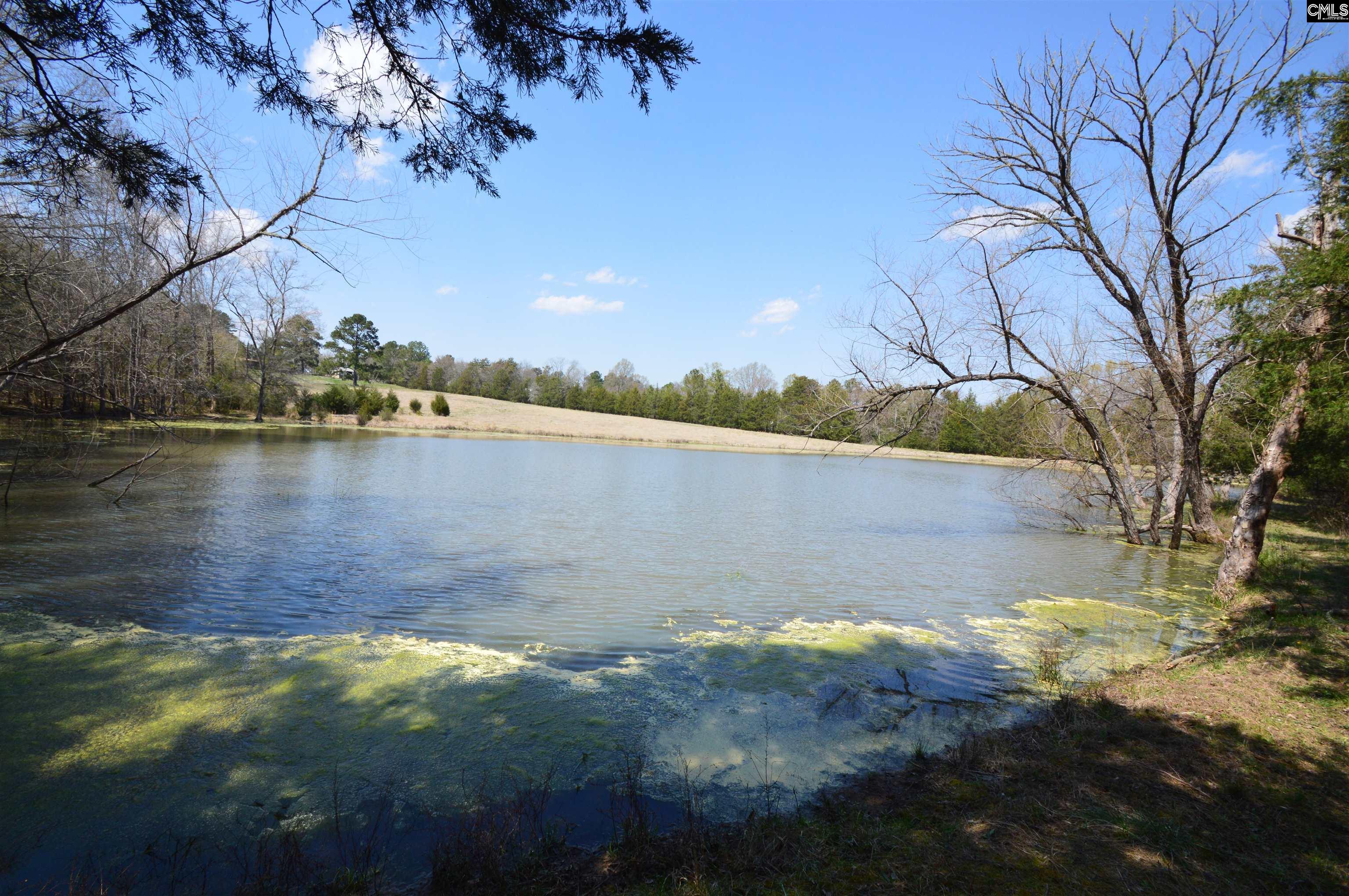 869 Meadowbrook Road, Chesterfield, South Carolina image 7