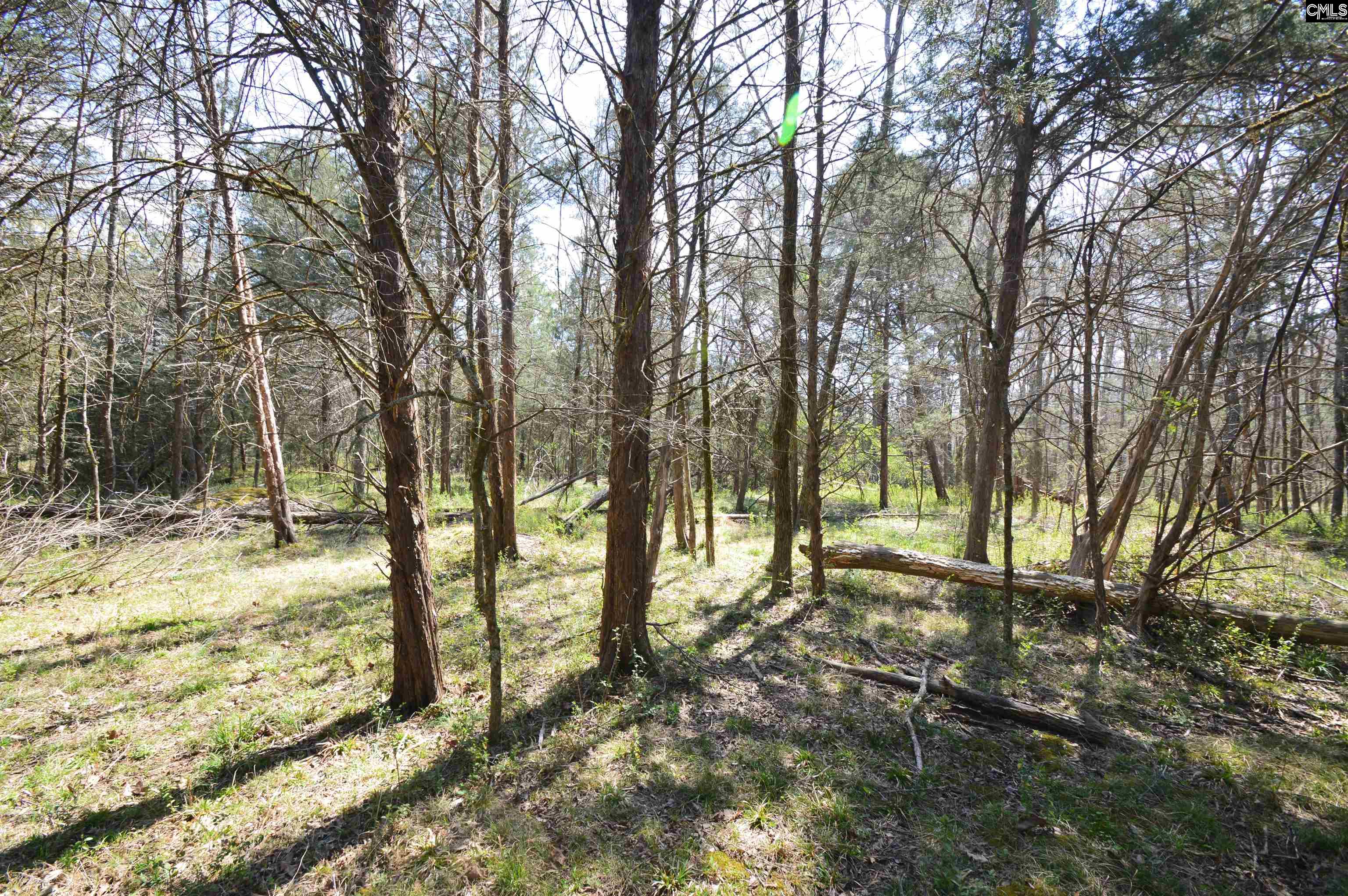 869 Meadowbrook Road, Chesterfield, South Carolina image 8