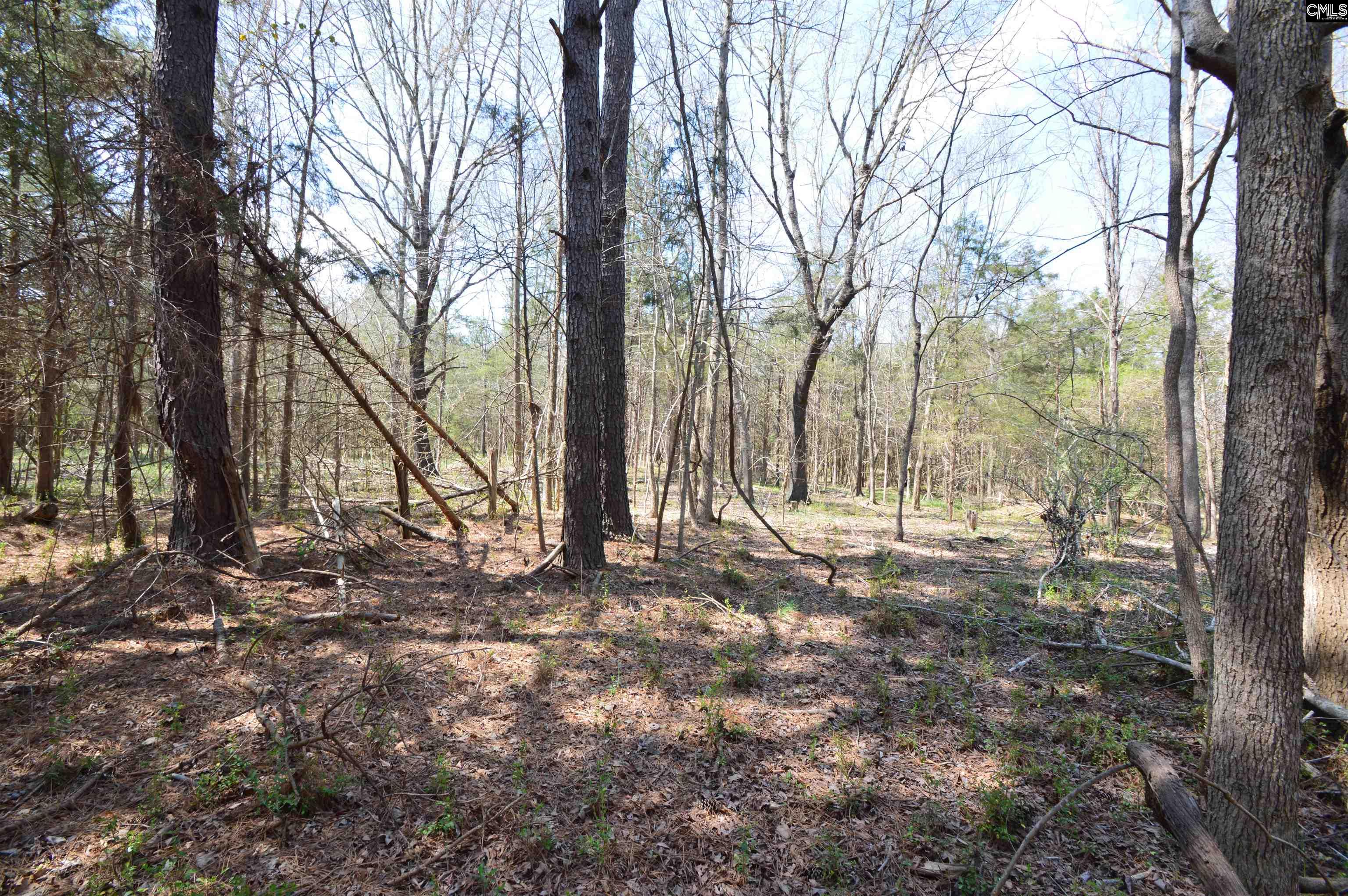 869 Meadowbrook Road, Chesterfield, South Carolina image 9