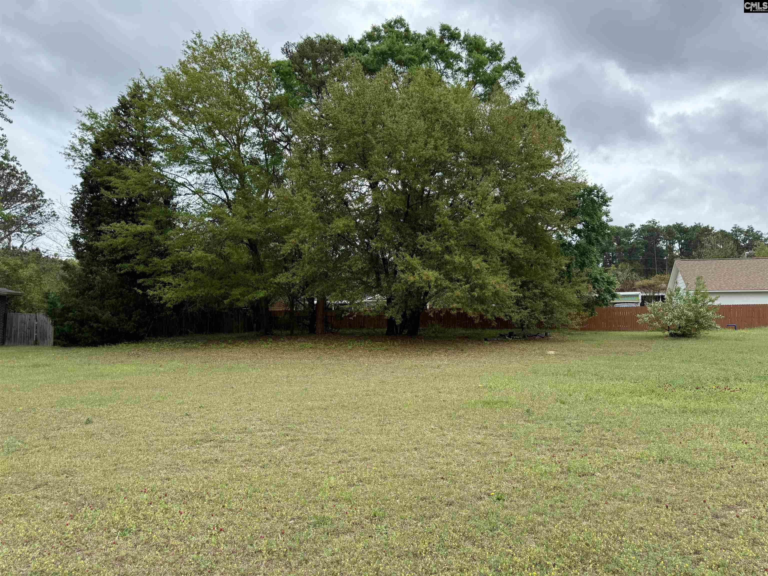 100 Elberta Drive Lexington, SC 29073