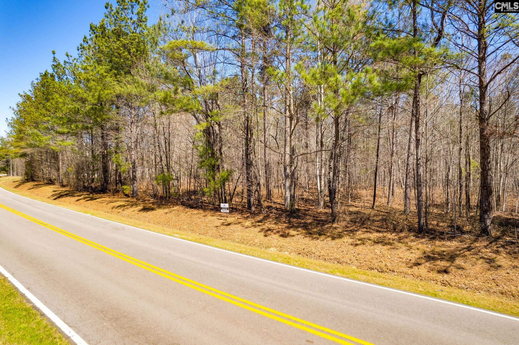 Tract B Grover Wilson Road, Blythewood, South Carolina image 5