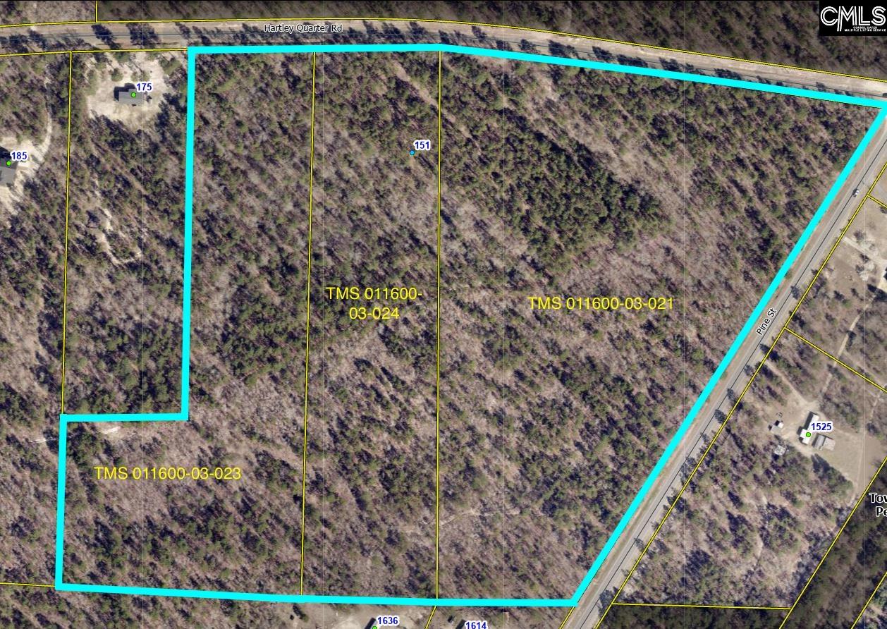 TBD Hartley Quarter Road Pelion, SC 29123