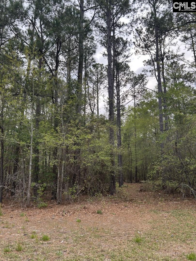 125 Gibbs Road Elgin, SC 29045
